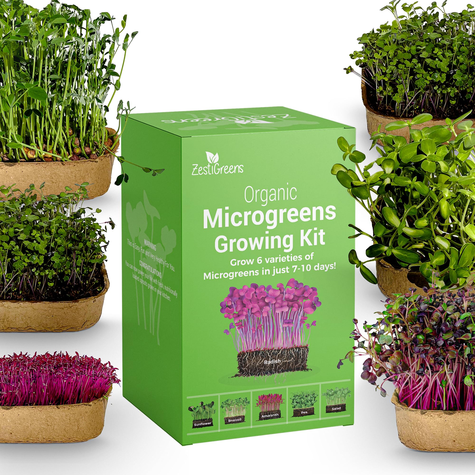 Complete Microgreens Growing Kit with 6 of The Most Popular Seed Varietes to Grow Nutritious Microgreens at Home.