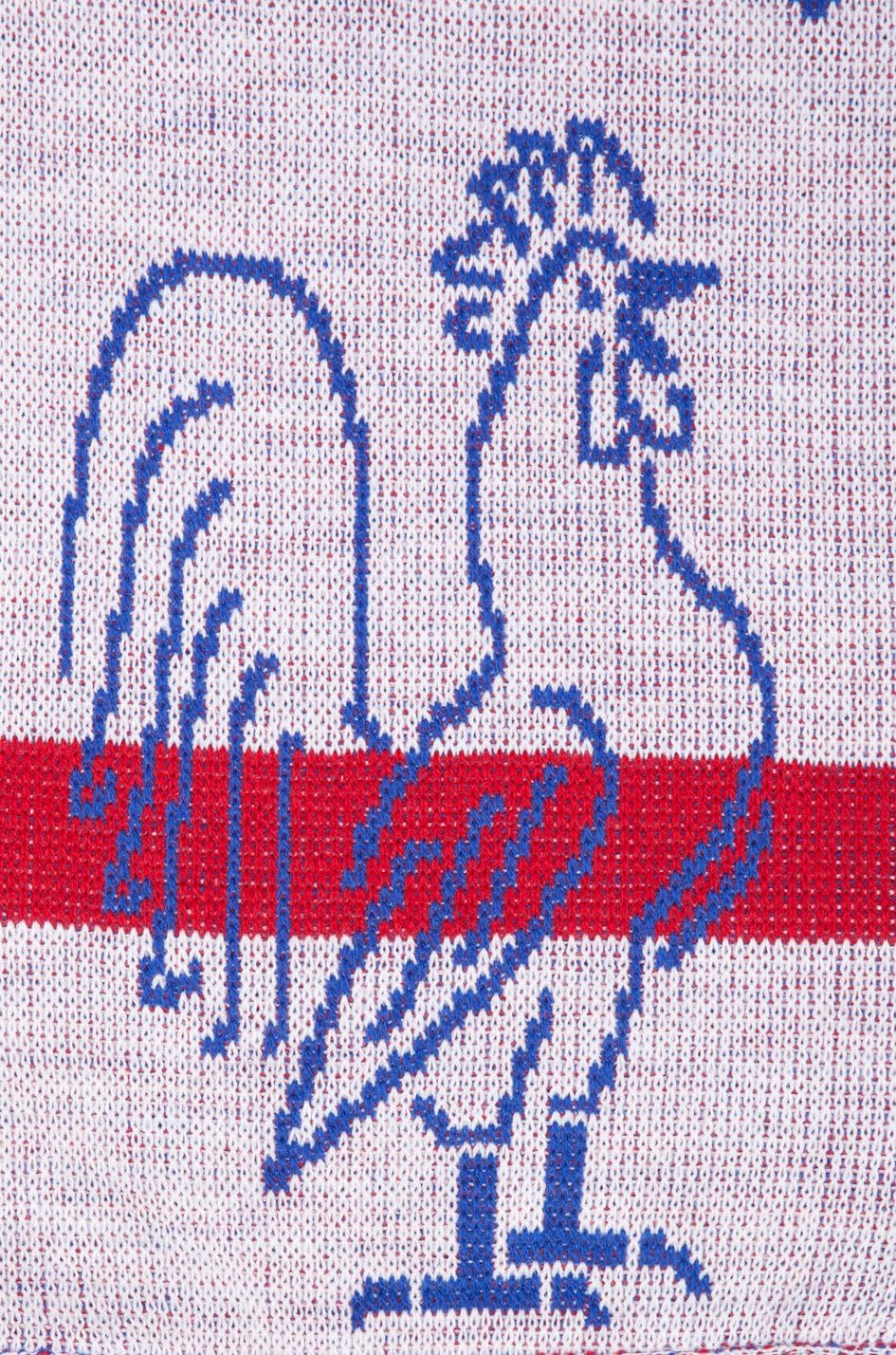 France Champions Du Monde Soccer Knit Scarf (Classic) - Image 6