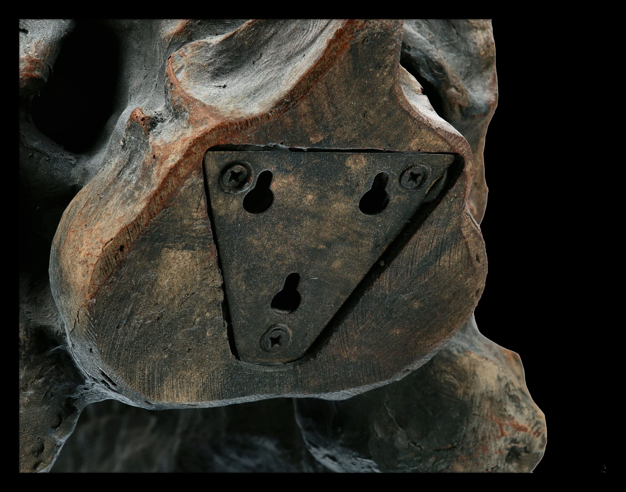 Tyrannosaurus Rex Totenkopf - mittel - Deko Figur Wandrelief