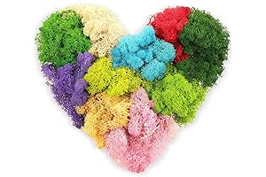 7 Oz Colored Moss Decoration -- An Enchanting Touch for Your Craft Heavens