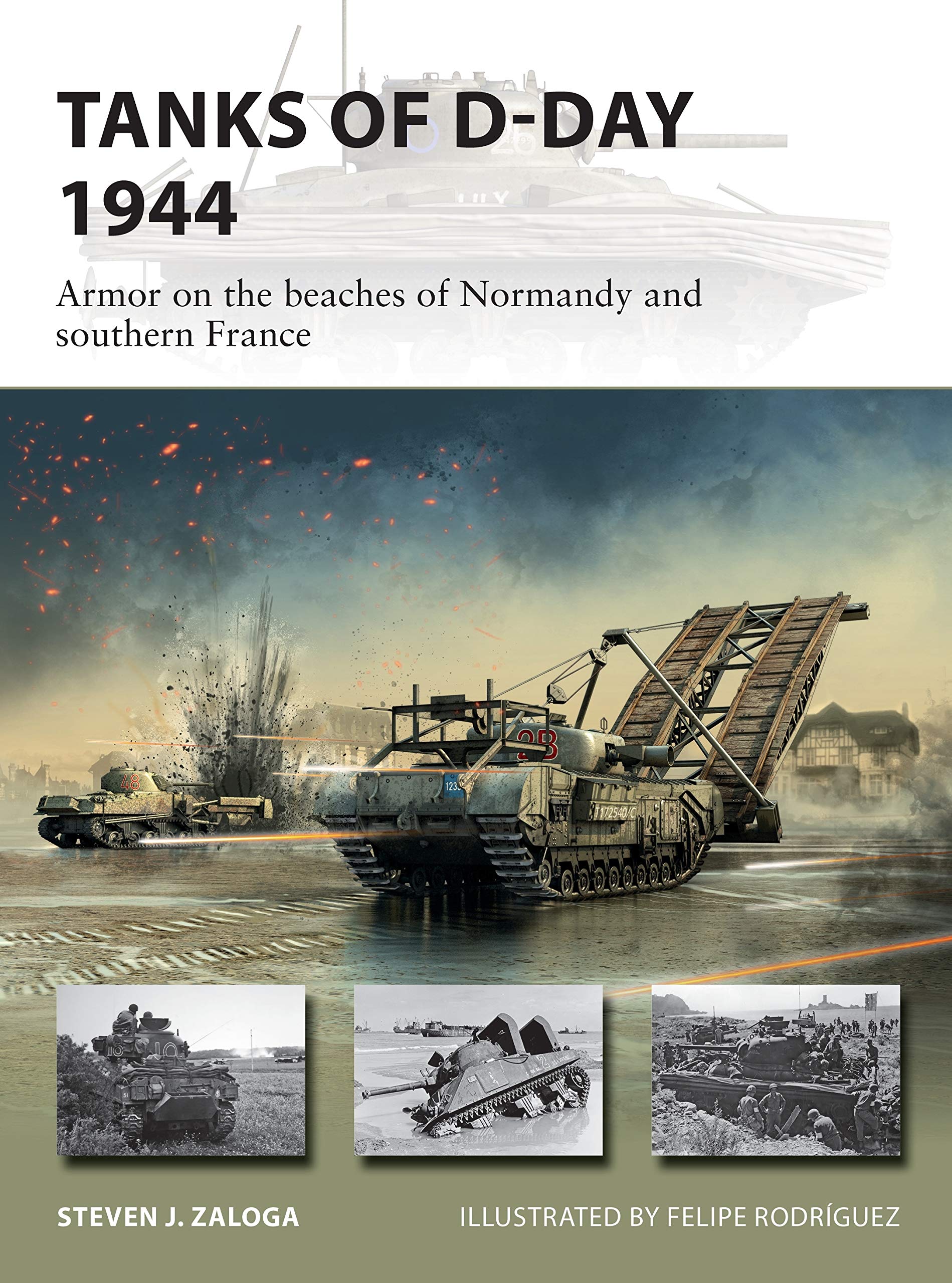 Tanks of D-Day 1944: Armor on the beaches of Normandy and southern France: 296 (New Vanguard)