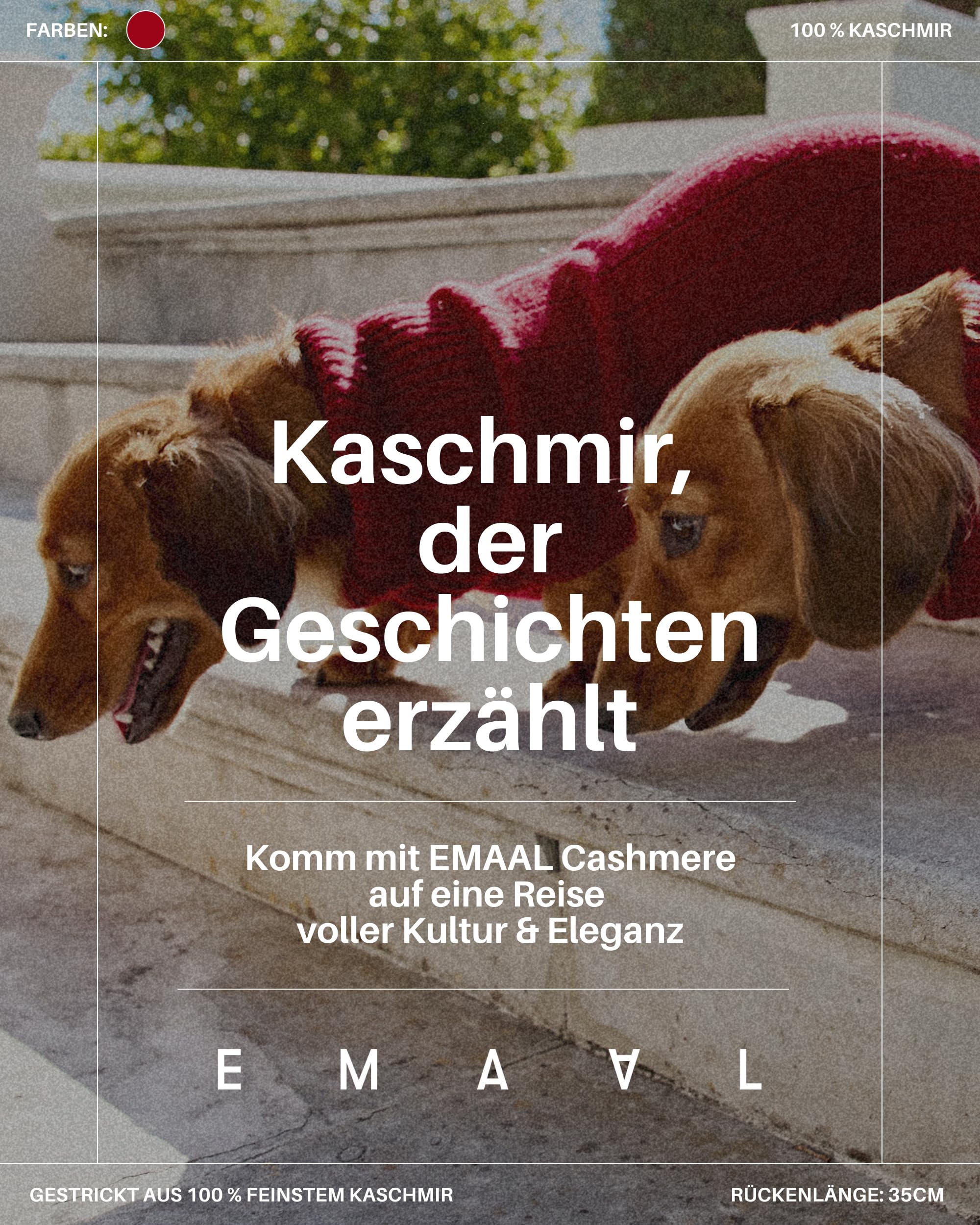 EMAAL 100% Kaschmir Hundesweater Aspen, Rot, Gestrickt, Rippenmuster, für kleine Hunde bis 35 cm Rückenlänge, weich & warm, bequem, jedes Fell, für kühle Spaziergänge oder gemütliche Abende zu Hause