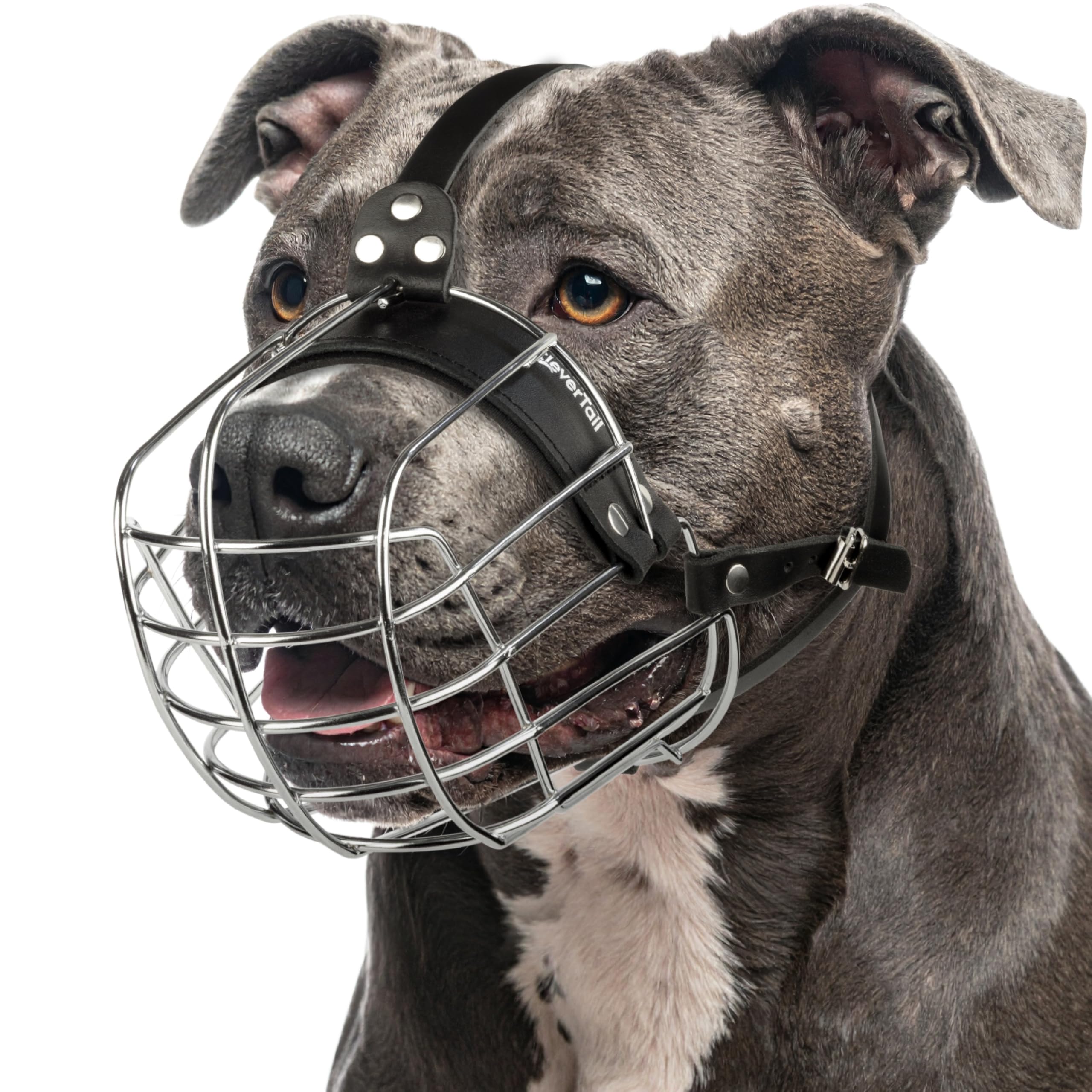 Metal Pitbull Muzzle for Large Sized Dog – Basket Muzzle for Dogs with Adjustable Leather Straps – Steel Cage Dog Muzzle to Prevent Biting – Mouth Guard for Large and Medium Pitt Bull