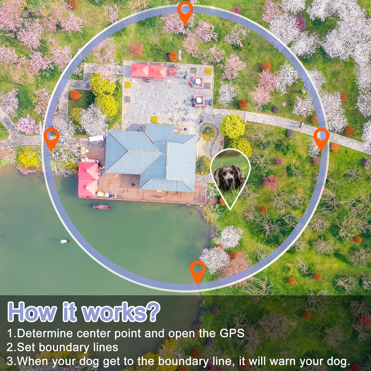 Антэна view illustrating how the E-FENCE system works, showing a center point, GPS boundary lines, and a dog within the defined area.