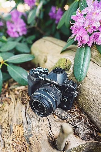 Miniatura 2 de Olympus OM-D E-M10 Mark IV Cuerpo de cámara negro y lente Olympus M.Zuiko Digital 0.551-1.654 in F3.5-5.6 II R