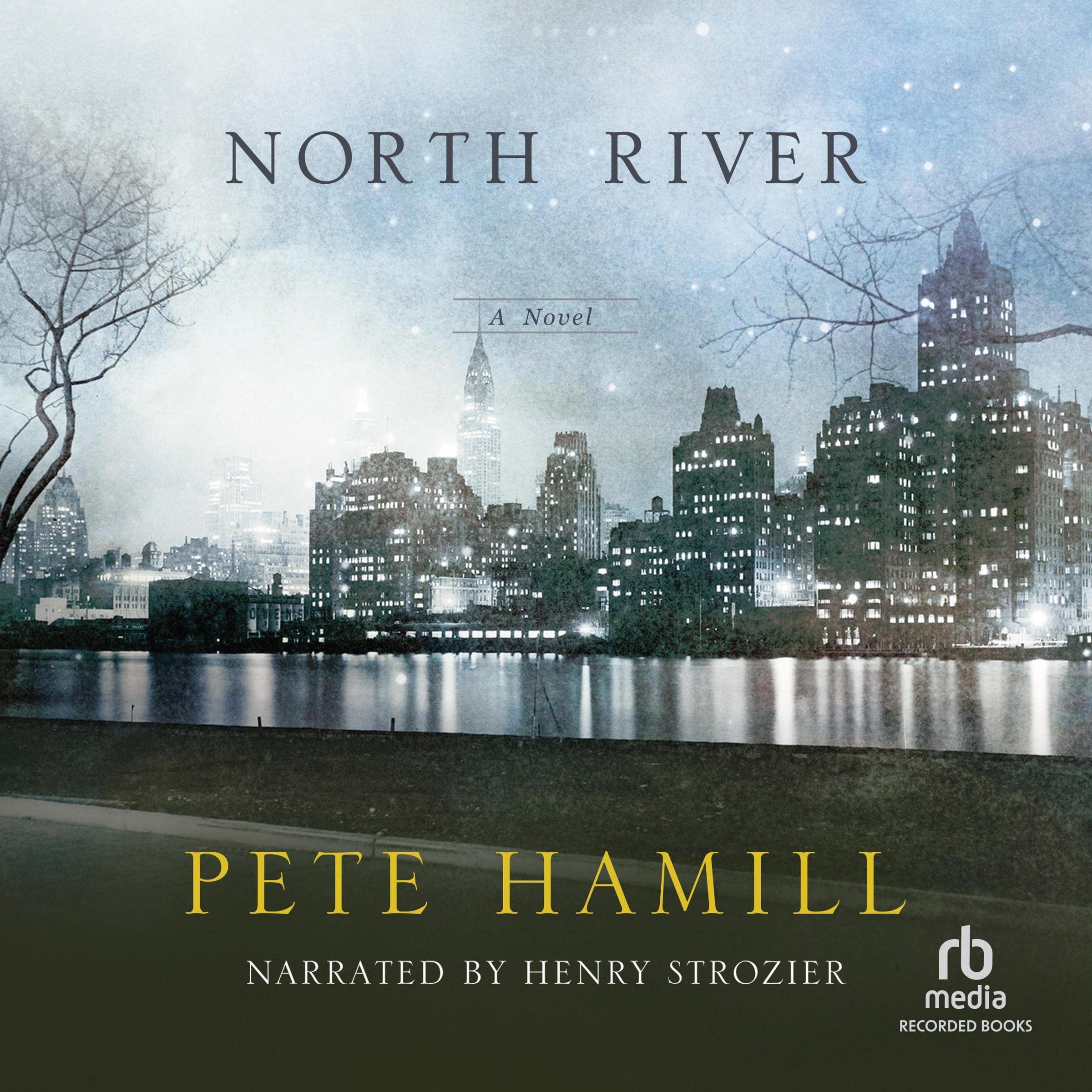 Cover art for North River