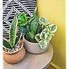 Product Photo 7