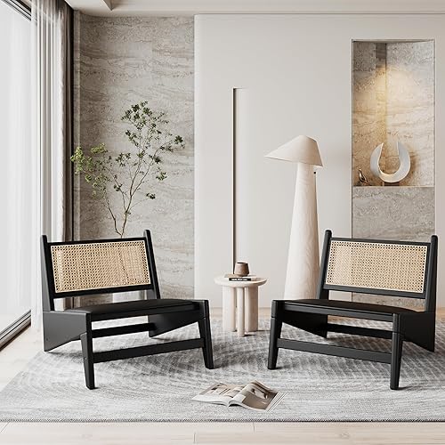 HAOBO Home Silla de ratán moderna de mediados de siglo, silla auxiliar de lectura sin brazos, silla de sala de estar, silla bohemia con marco de