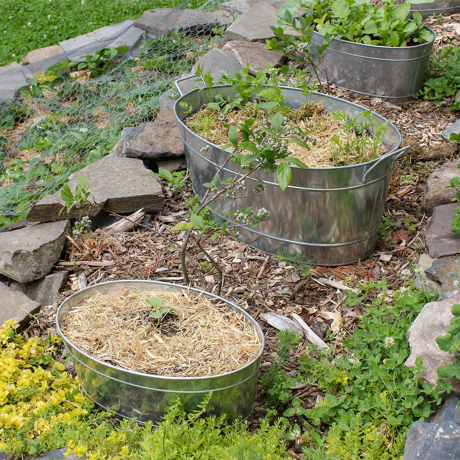 Achla Designs Standard Oval Galvanized Steel Tub Buy Online in South Africa at desertcart