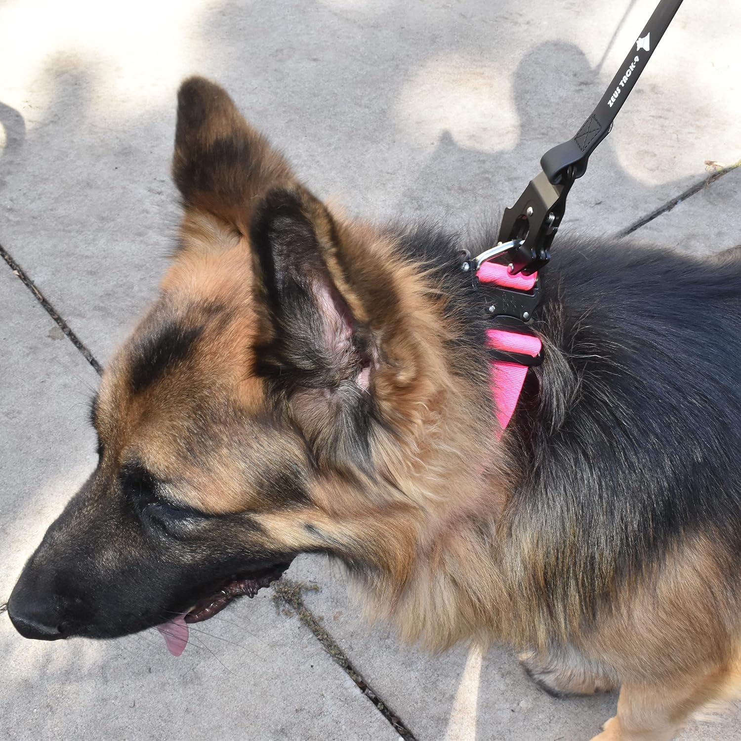 Heavy Duty Waterproof Dog Leash - Large Scissor Frog Quick Release Clasp, PVC Rubber Coated Nylon Training Lead for Large and X-Large Dogs, Odor Free, Durable, Easy to Clean, Nonslip Grip, Secure Hold