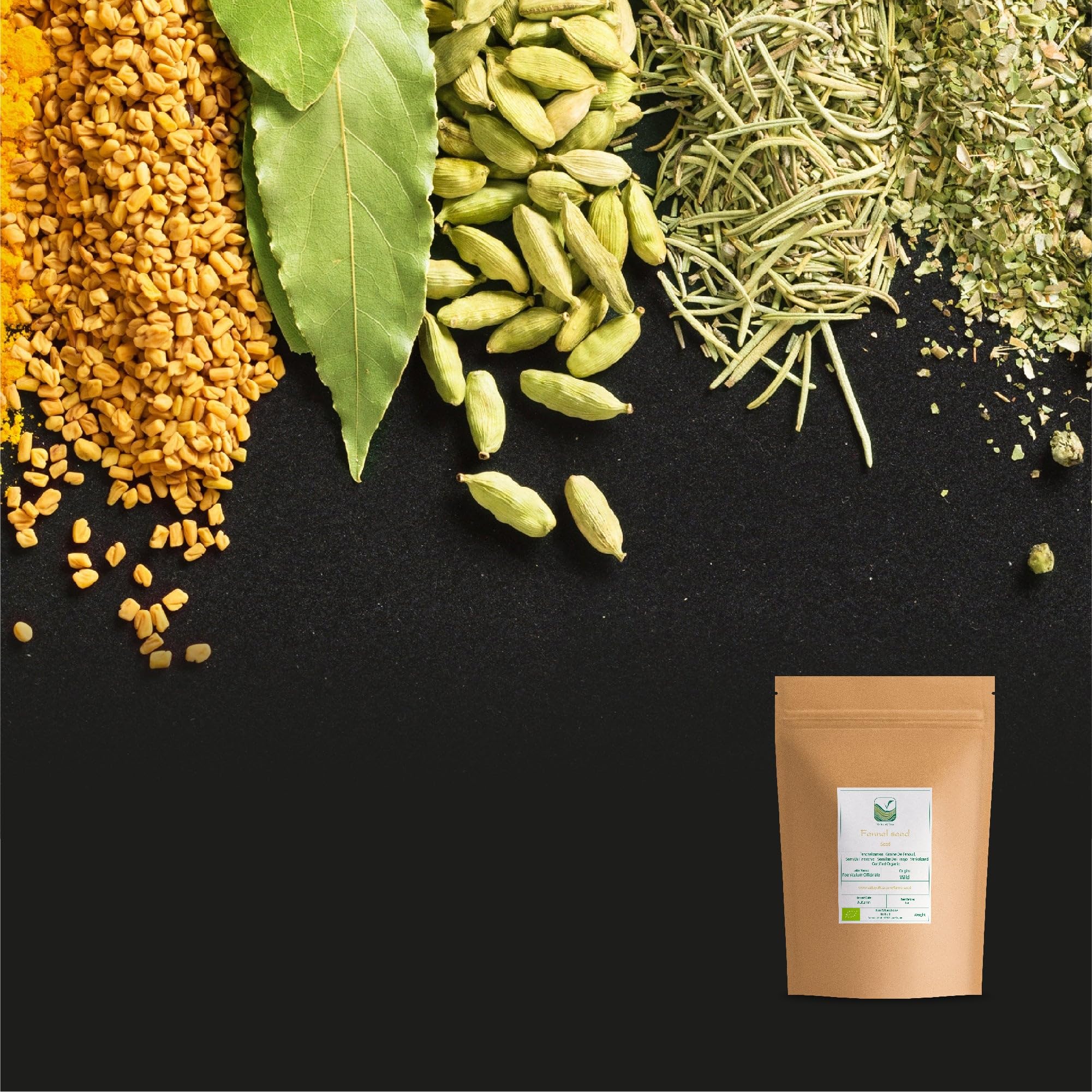 Fennel Seed Organic Herbal Delicacy - Culinairy Grade - Foeniculum Vulgare Seeds Fenkel 200g | chrupiące ziarna o słodkim anyżowym smaku do pieczywa i marynat warzywnych