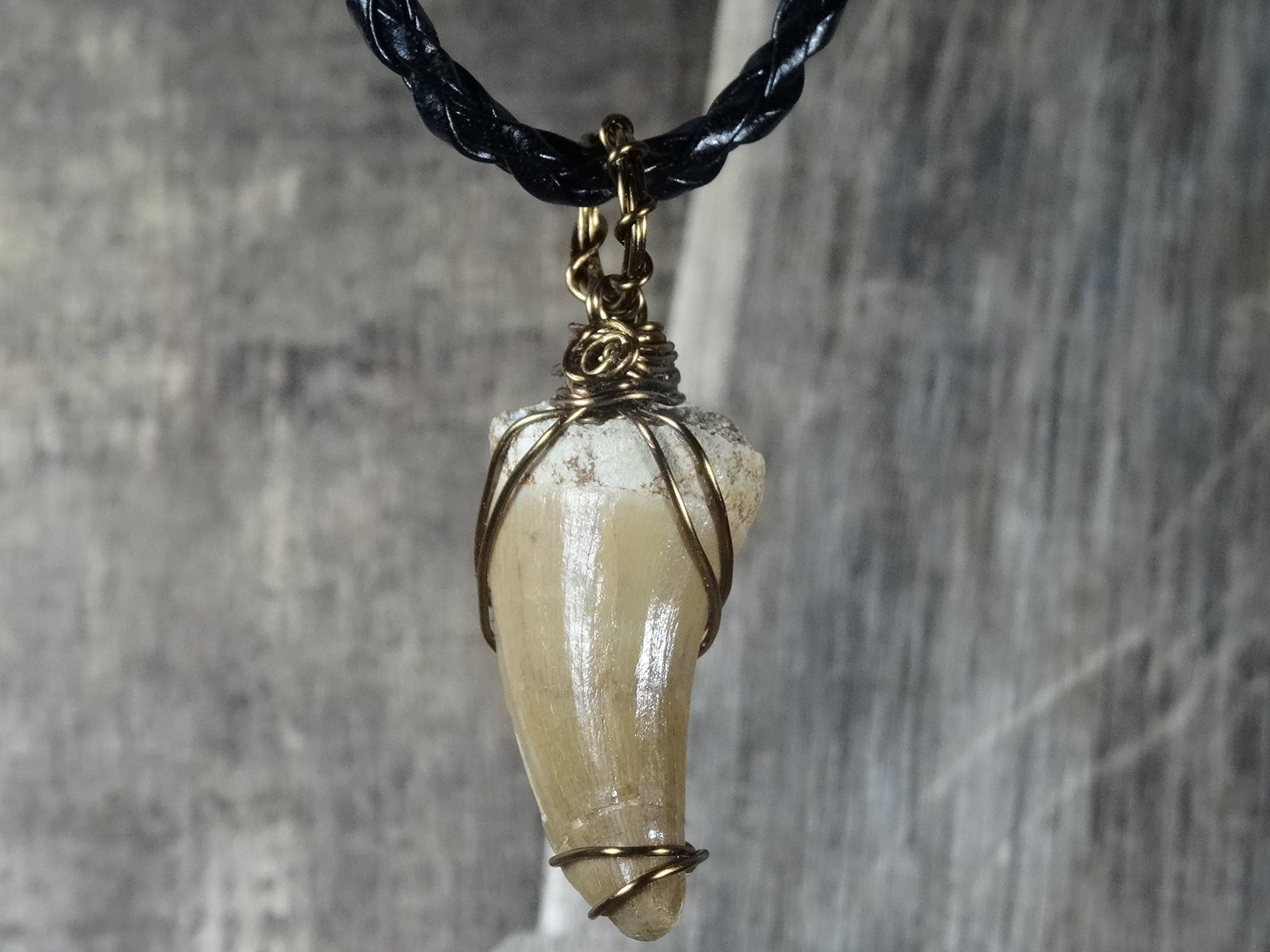 Rare Mosasaurus Tooth Wrapped in Antique Bronze, Real Dinosaur Fossil Pendant, Vulture Culture, Oddities & Curiosities