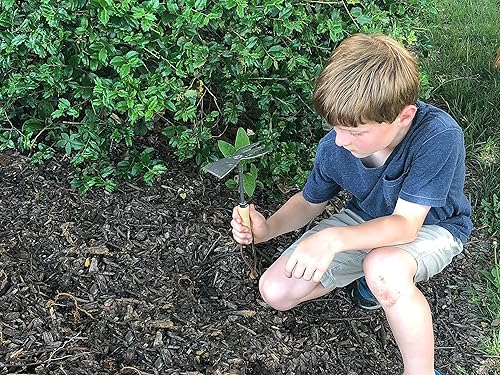 Miniatura 3 de Tierra Garden DeWit Junior - Azada de mano doble para niños