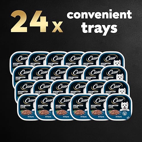 Miniatura 3 de CESAR - Filetes de comida húmeda suave para perros adultos en salsa con sabor a New York Strip, (24) bandejas de 3.5 onzas bandejas