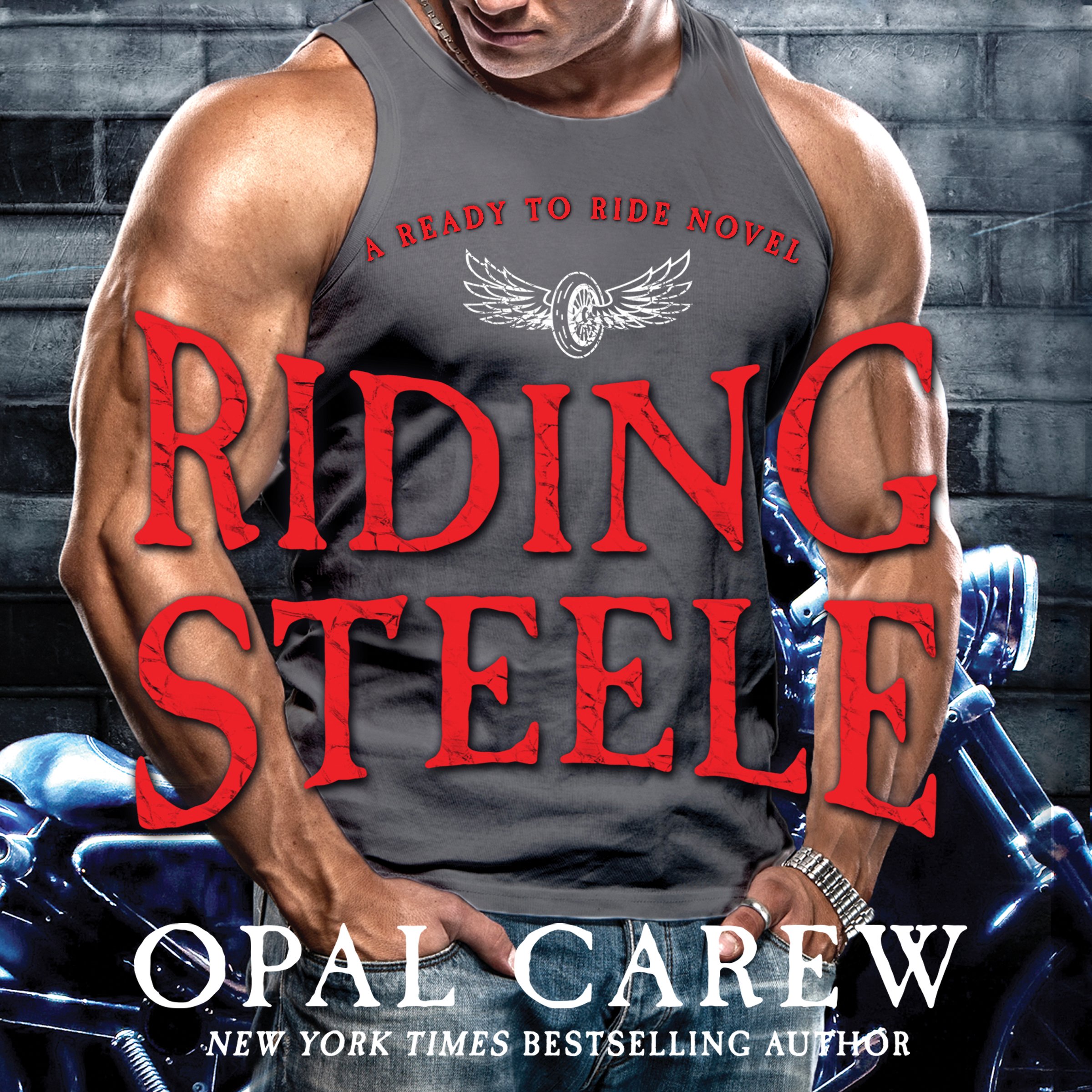 Cover art for Riding Steele