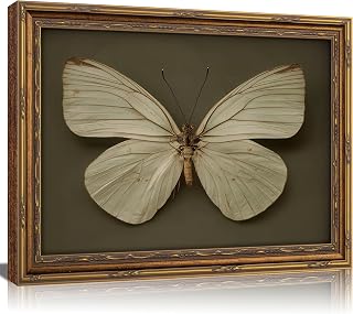 Vintage Gold Framed Butterfly Canvas Wall Art Sage Green Moth Painting Picture Wall Decor Retro Insect Poster Print Artwork for Living Room Bedroom Farmhouse Office Home Decoration