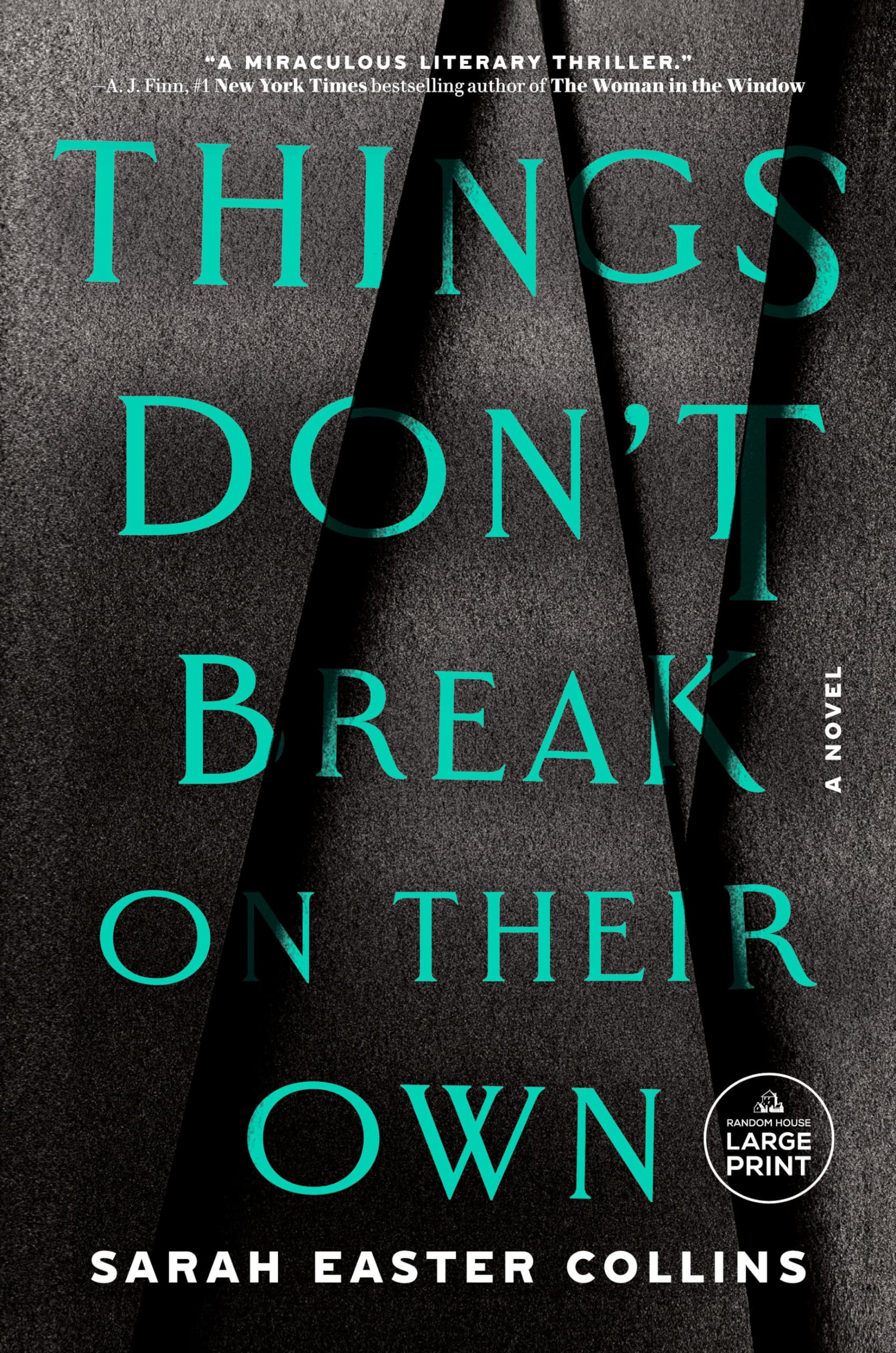 Things Don't Break on Their Own: A Novel