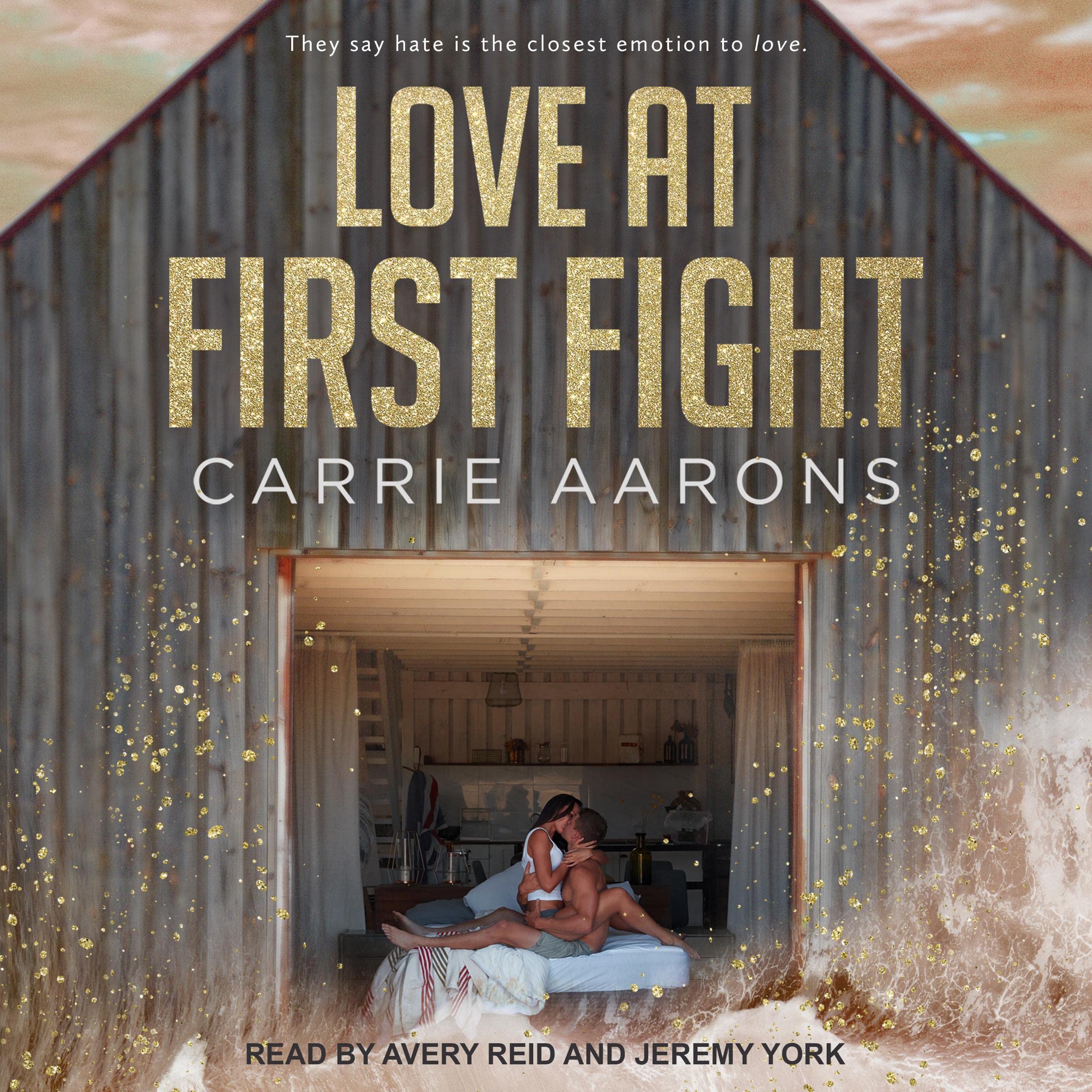 Cover art for Love at First Fight