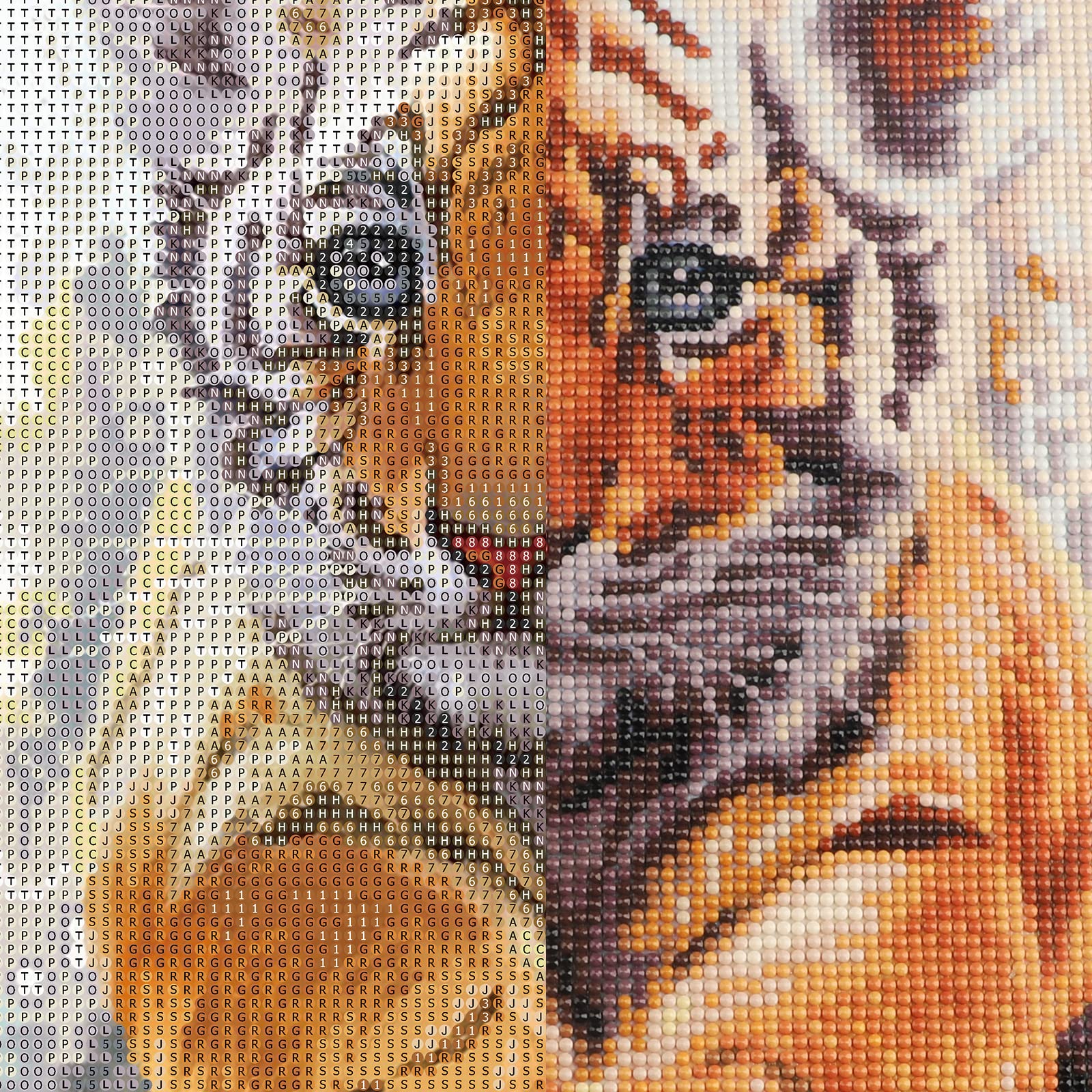 Kit De Diamant 5D Chat Et Tigre, Chat Et Tigre Point De Croix