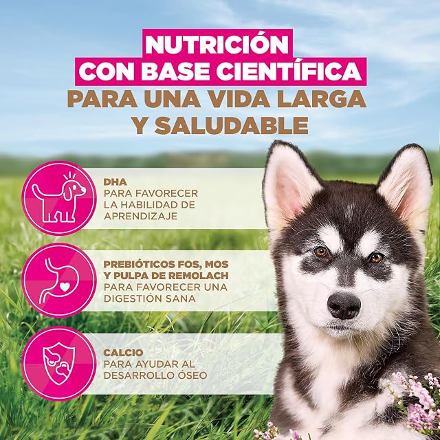 Foto 5 de 8 de Eukanuba, alimento para Cachorros sin Cereales con Pescado para Razas Grandes
