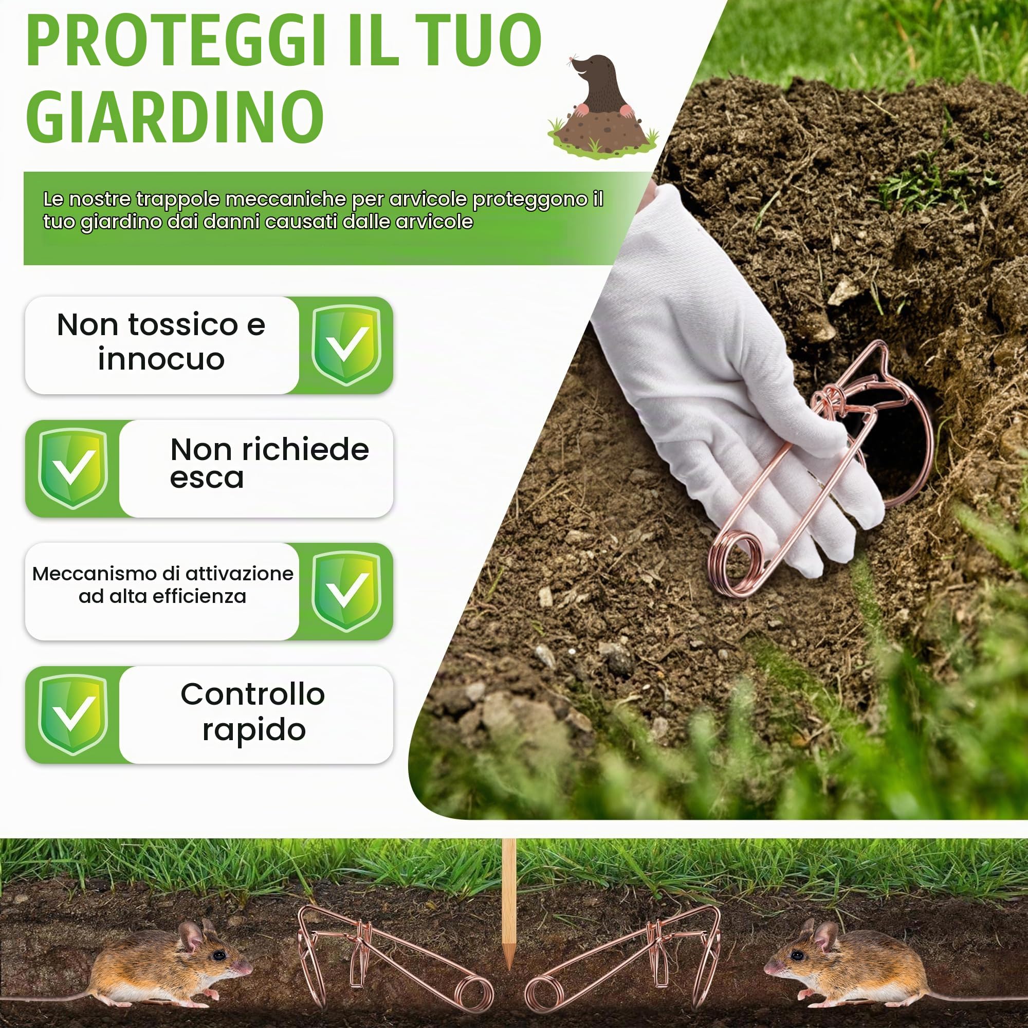 Enhon Trappola Professionale per Arvicole e Talpe, trappole per Arvicole in Filo di Acciaio ramato, efficaci Contro Arvicole Talpe in Giardino