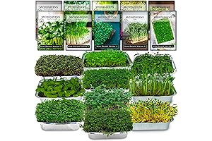 Sow Right Seeds Microgreen Grow Kit: Your Gateway to Culinary and Nutritional Delights