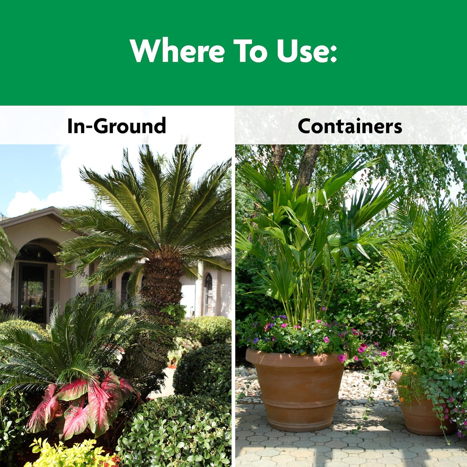 Miracle-Gro Shake 'N Feed Palm Plant Food, For Container and In-Ground Plants, Palm Trees, Cycads and Tropical Plants, 4.5 lbs.