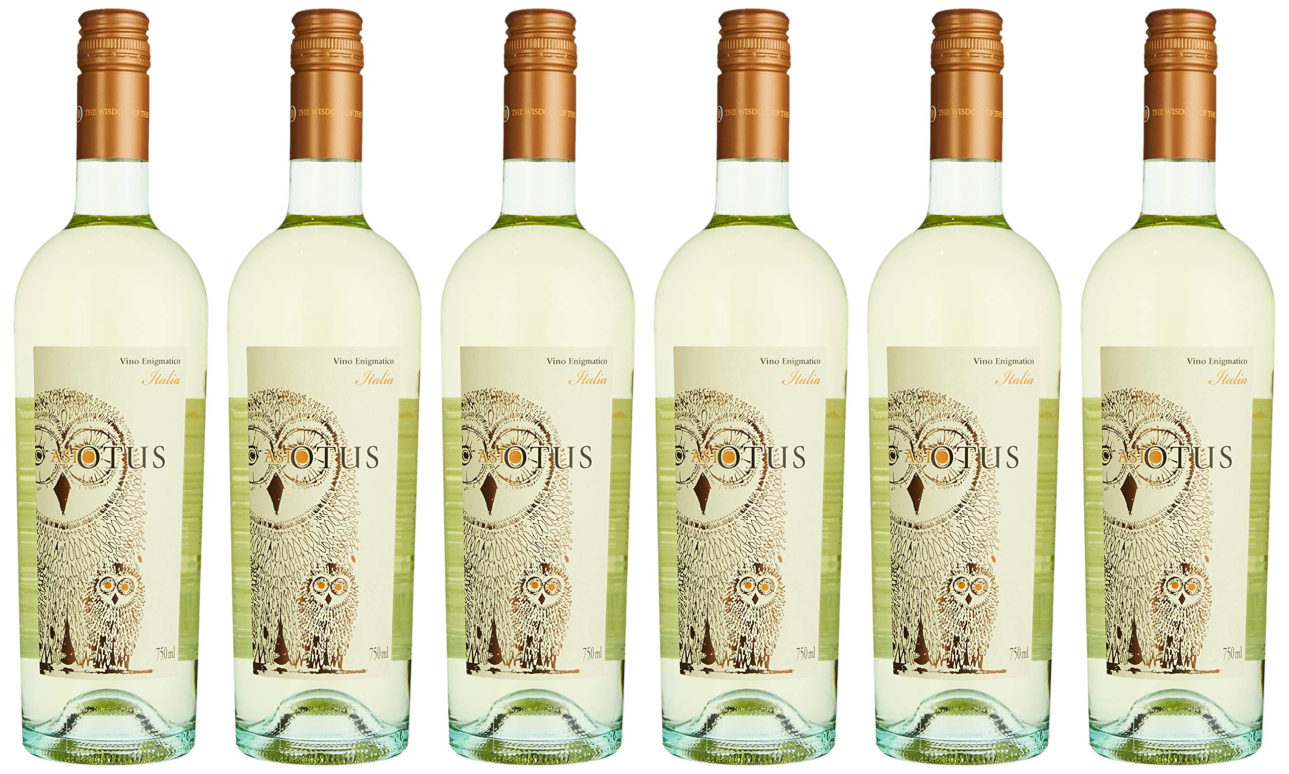 MGM Mondo del Vino Asio Otus Weiss Vino Varietale D'Italia Cuvee NV Halbtrocken (6 x 0.75 l)