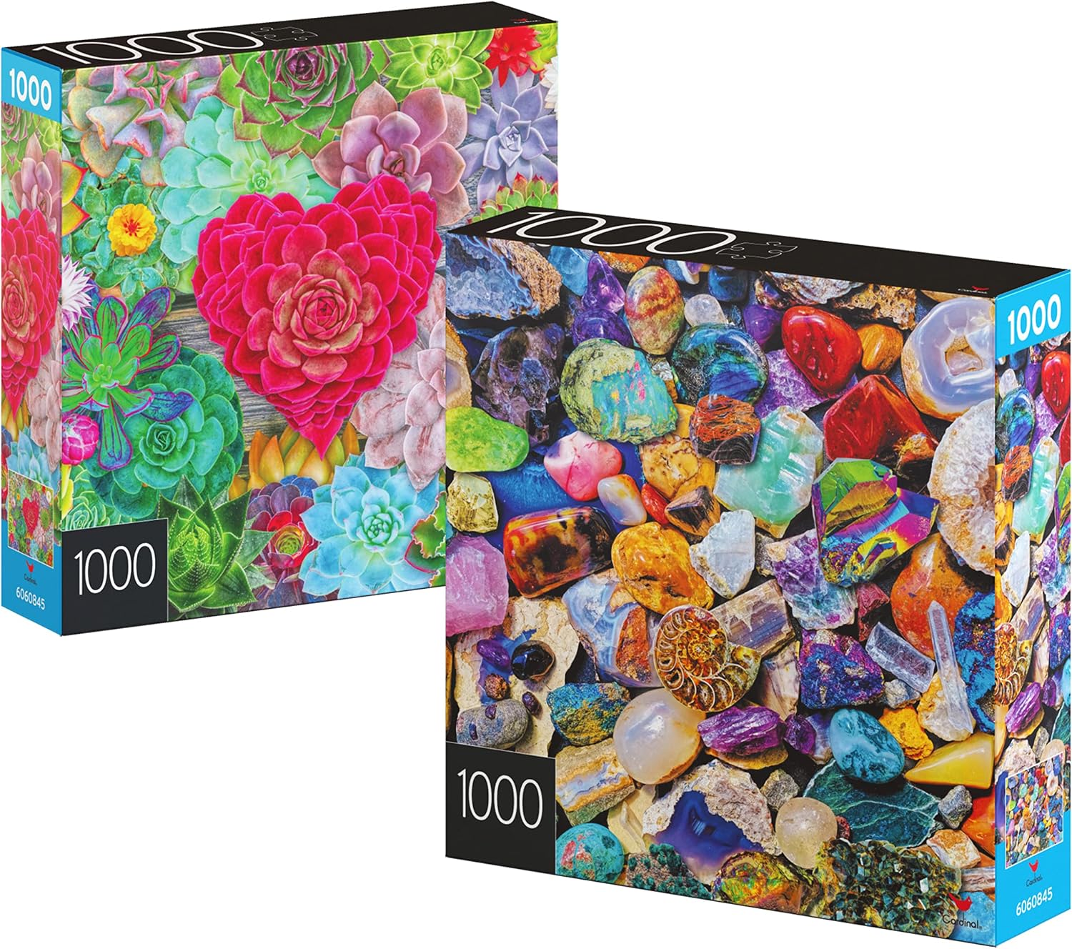 2-Pack of 1000-Piece Jigsaw Puzzles, Succulents & Rocks and Minerals | Puzzles for Adults and Kids Ages 8+, Amazon Exclusive