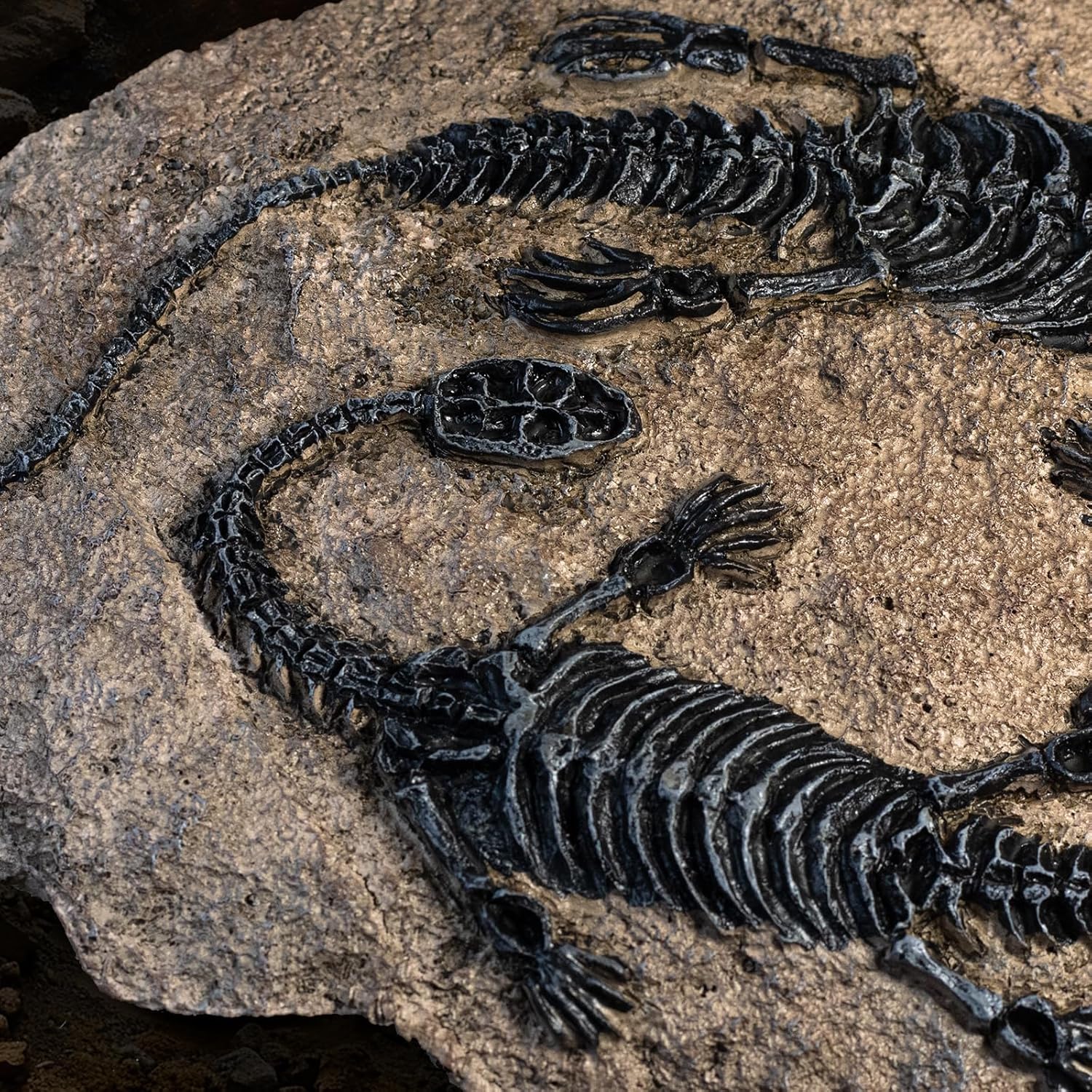 Dinosaur Fossils, Resin Dinosaur Skeletons, Dinosaur Figurines for Home Decor, and Dinosaur Gifts for Adults (Style 3)