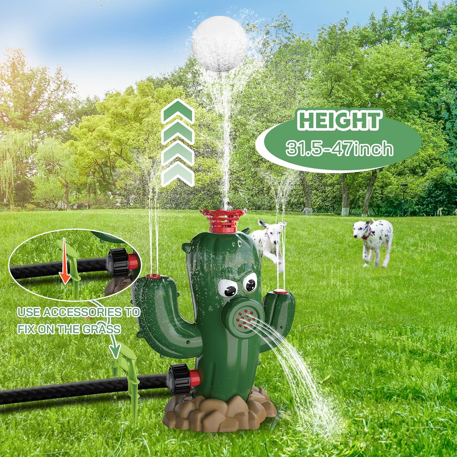 https://m.media-amazon.com/images/I/91COQ6ubTXL._AC_SL1500_.jpg