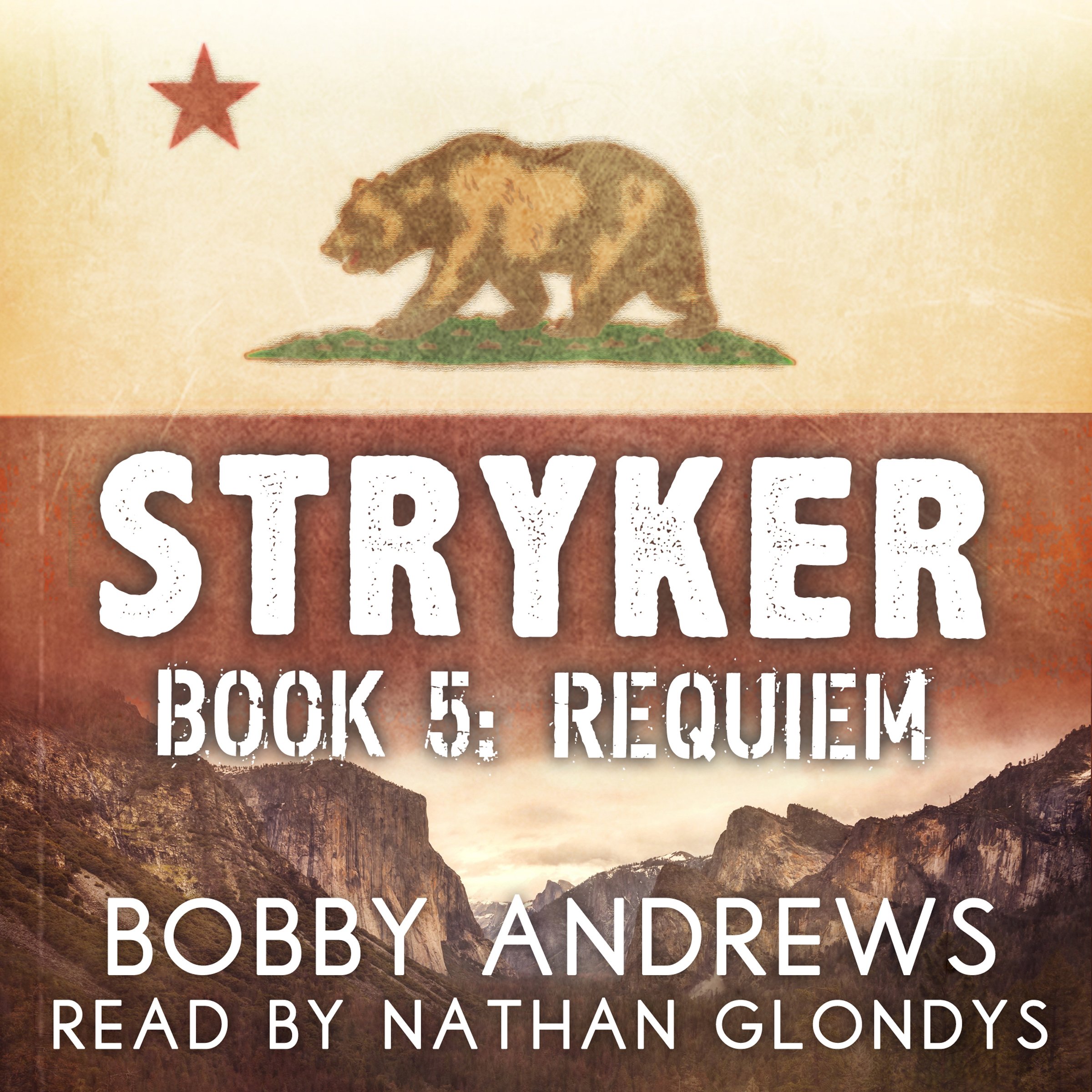 Cover art for Requiem: Stryker, Book 5