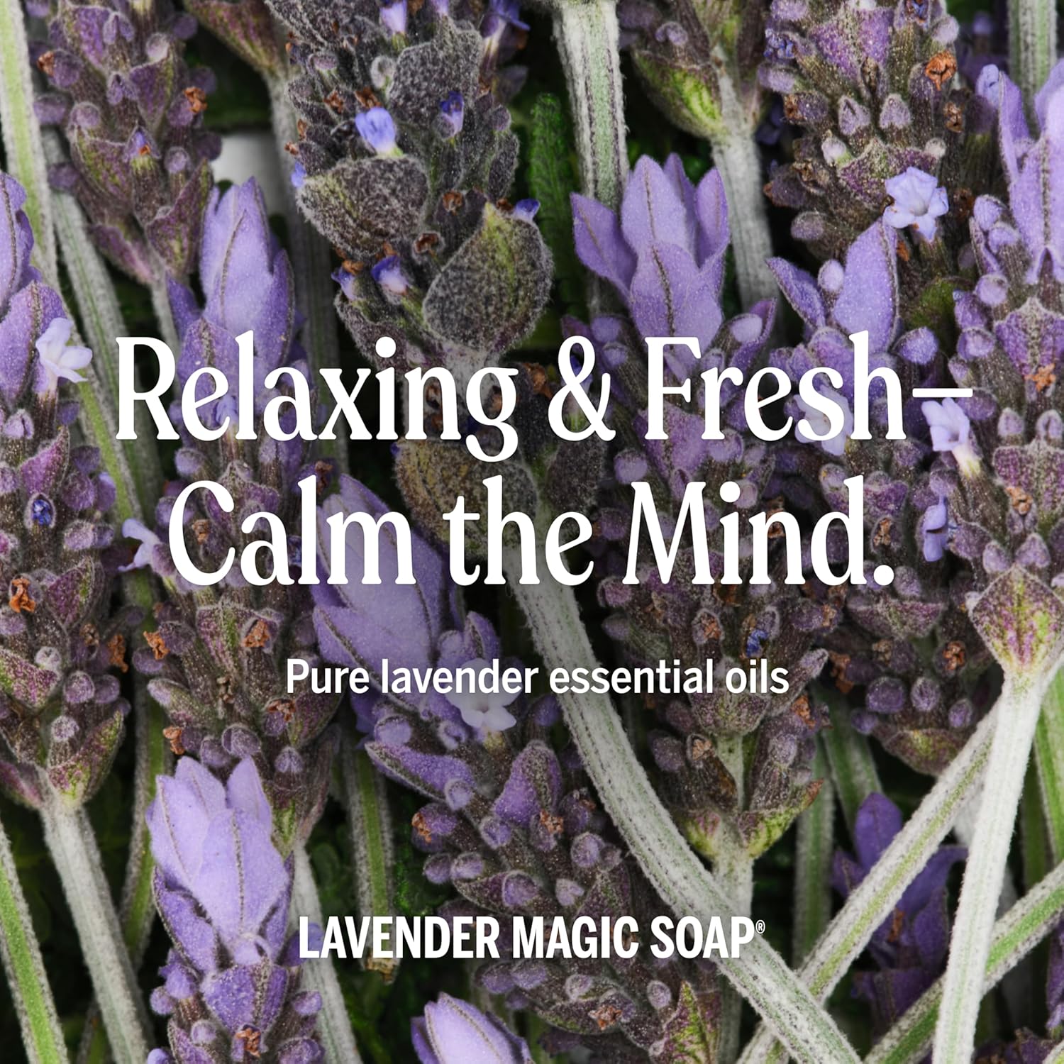 Dr. Bronner's - Pure-Castile Liquid Soap (Lavender, 32 ounce) - Made with Organic Oils, 18-in-1 Uses: Face, Body, Hair, Laundry, Pets and Dishes, Concentrated, Vegan, Non-GMO - Image 6