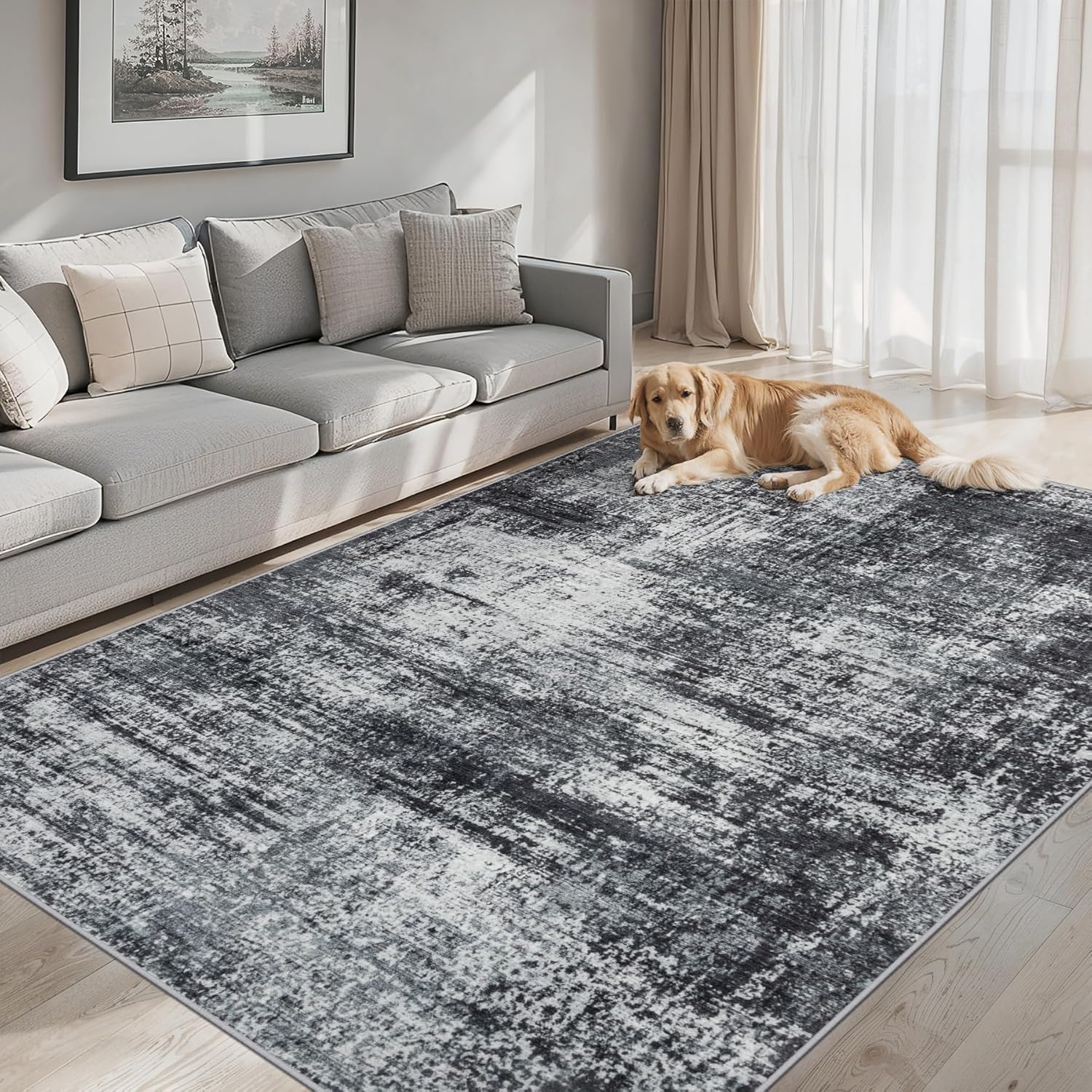 PLHXFR Area Rug Living Room: 5x7 Abstract Washable Carpet Dark Black