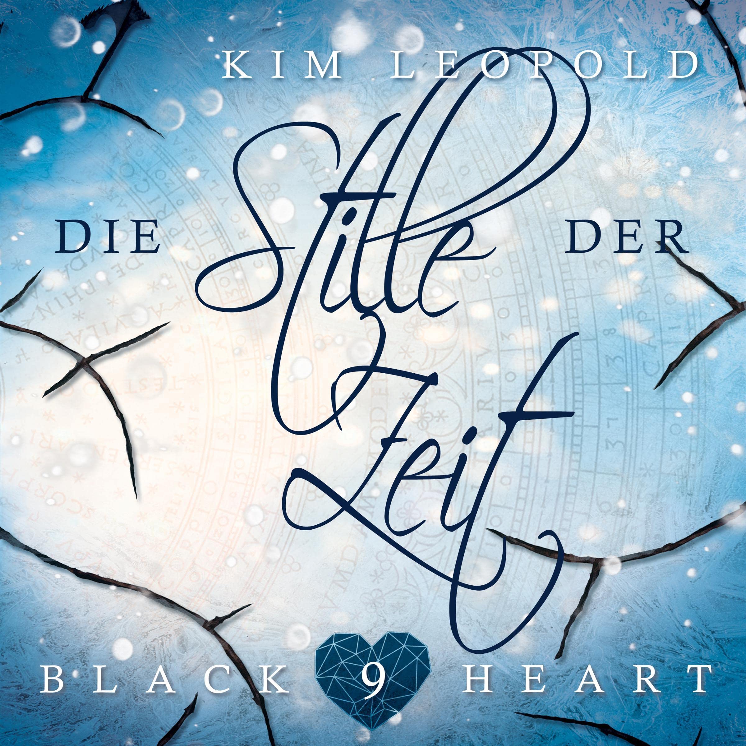 Cover art for Die Stille der Zeit