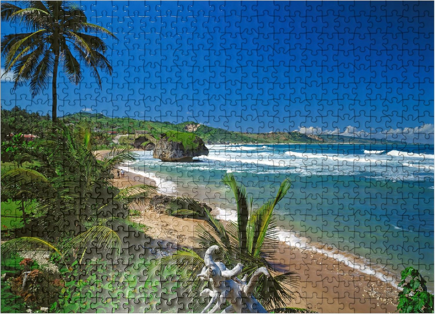 MyPuzzle East Coast Near Bathseba, Barbados, Leeward Islands, Caribbean Sea - Premium 1000 Piece Jigsaw Puzzle for Adults