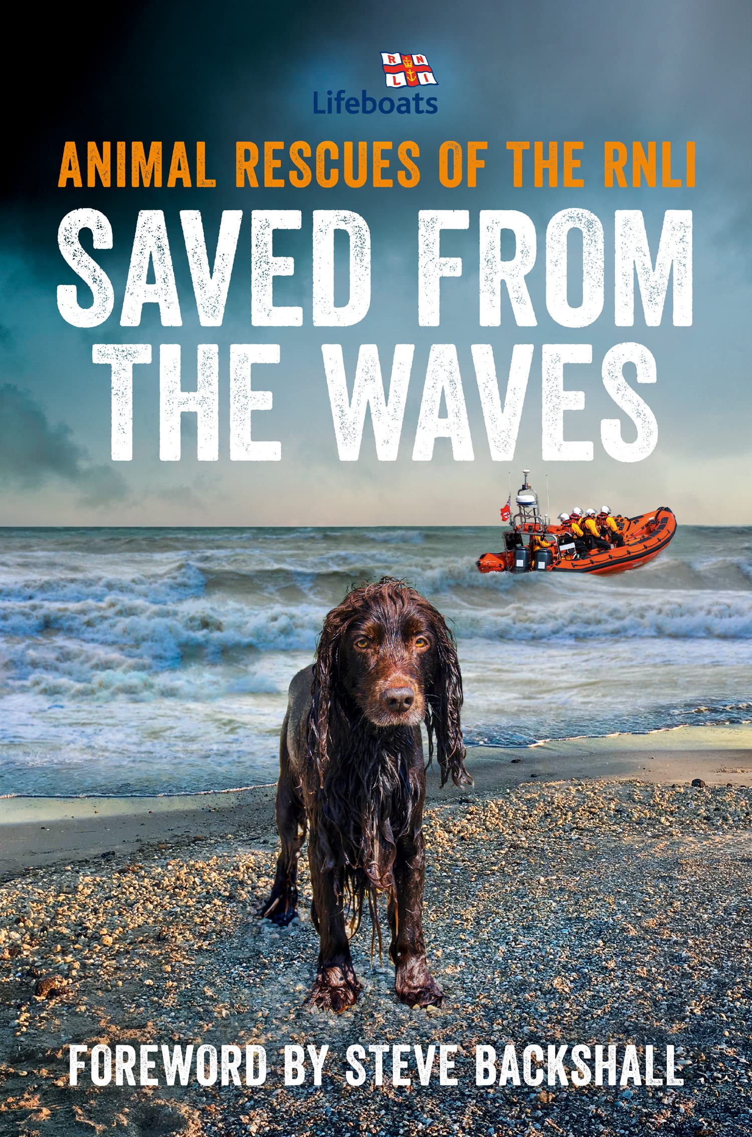 Saved from the Waves: Animal Rescues of the RNLI by The RNLI (2023, Uk-B ...