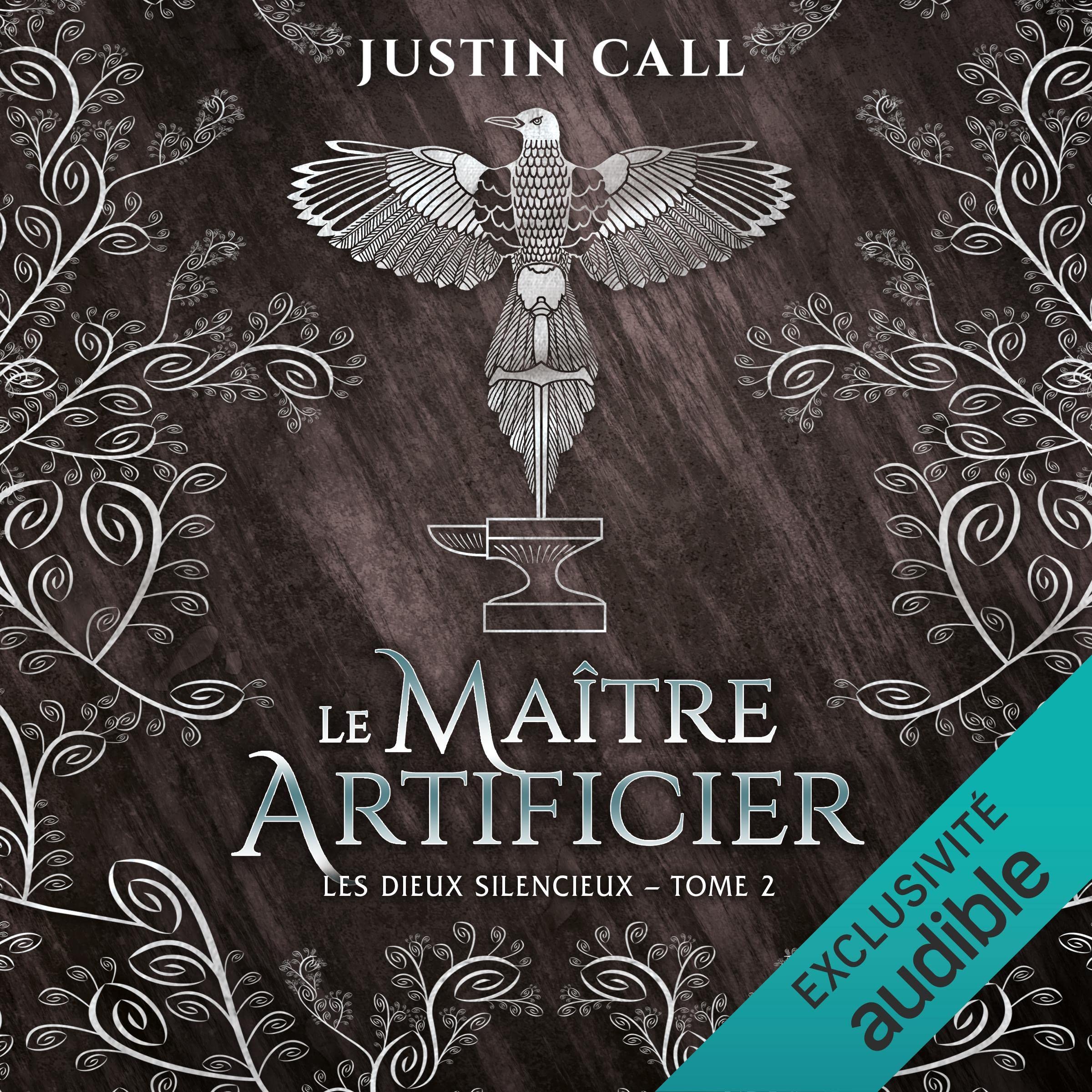 Cover art for Le maître artificier
