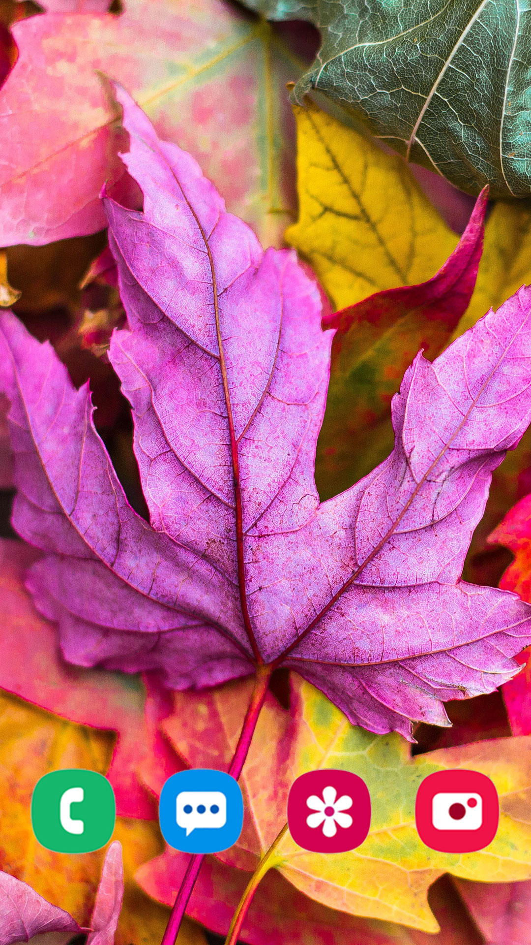 Fall Background Apps Autumn Wallpapers - App on Amazon Appstore