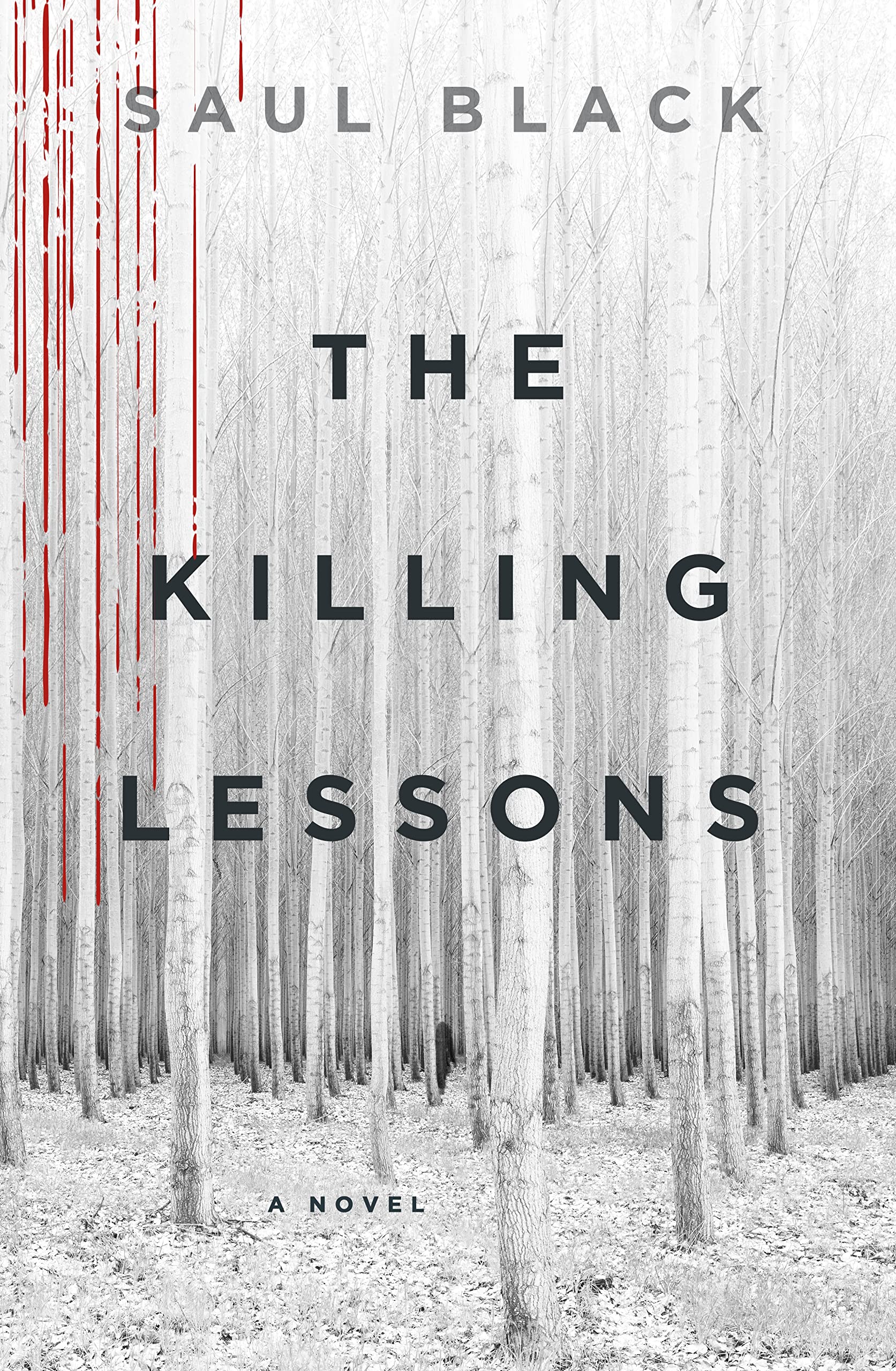 Cover of The Killing Lessons: A Novel (Valerie Hart, 1)