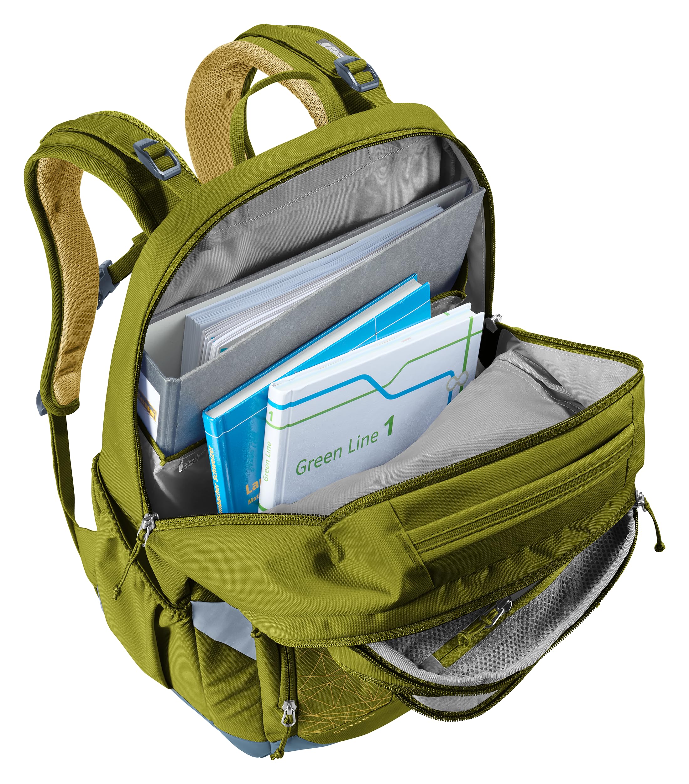 deuter Cotogy (26 L) Schulrucksack ab der 5.Klasse