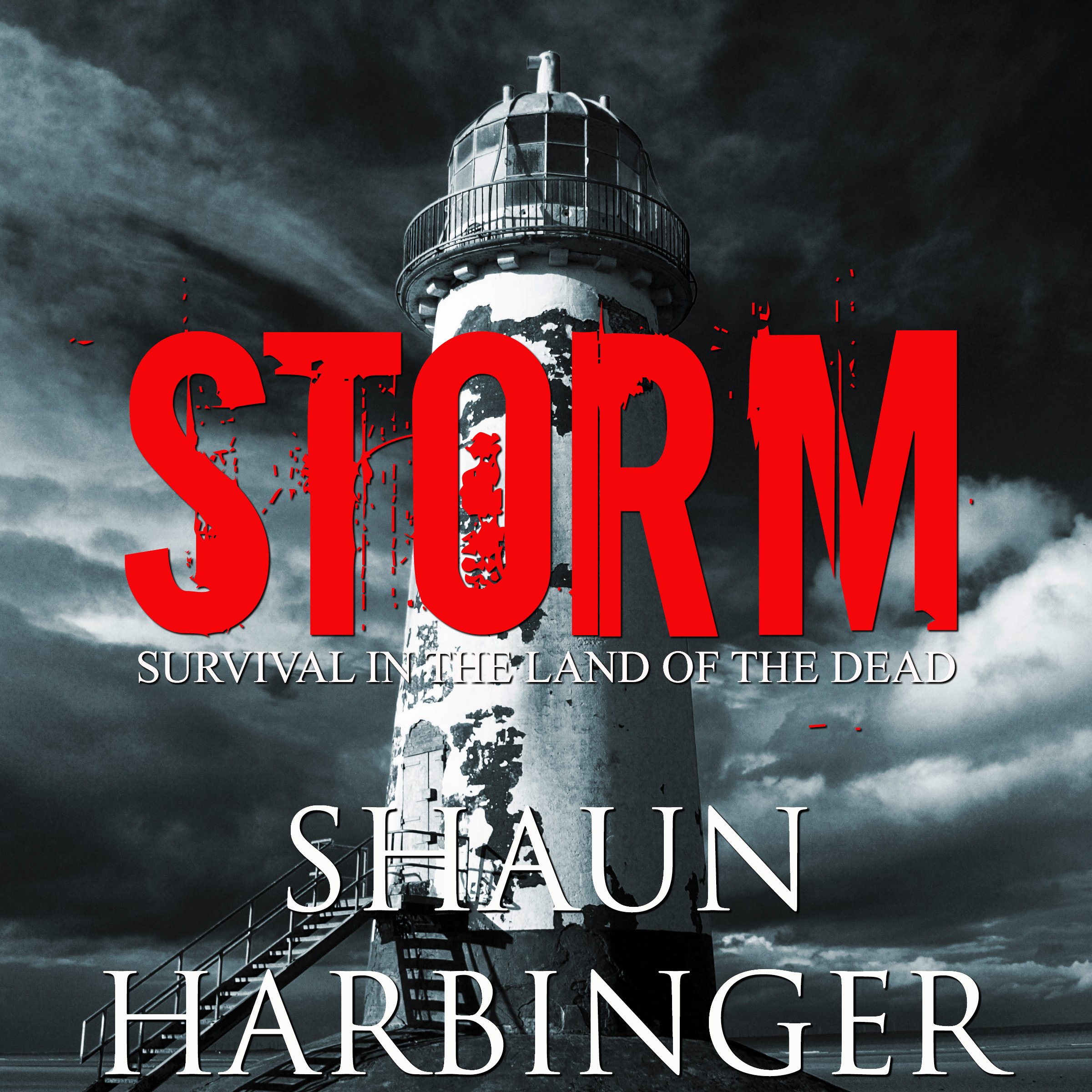 Cover art for Storm: Survival in the Land of the Dead