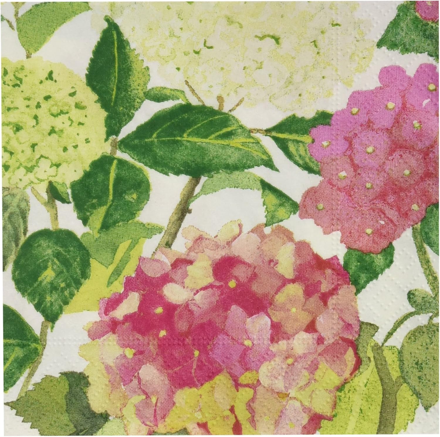 Caspari Paper Cocktail Napkin, Endless Summer Amazon.co.uk Grocery