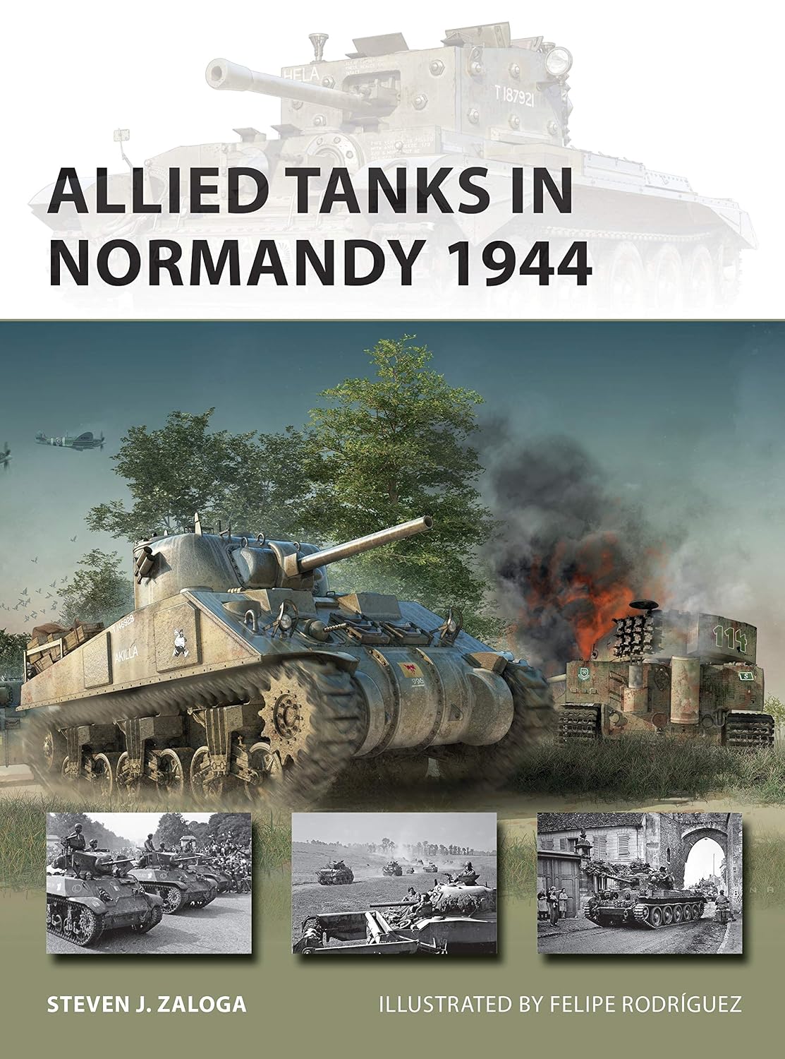 Allied Tanks in Normandy 1944 (New Vanguard, 294)