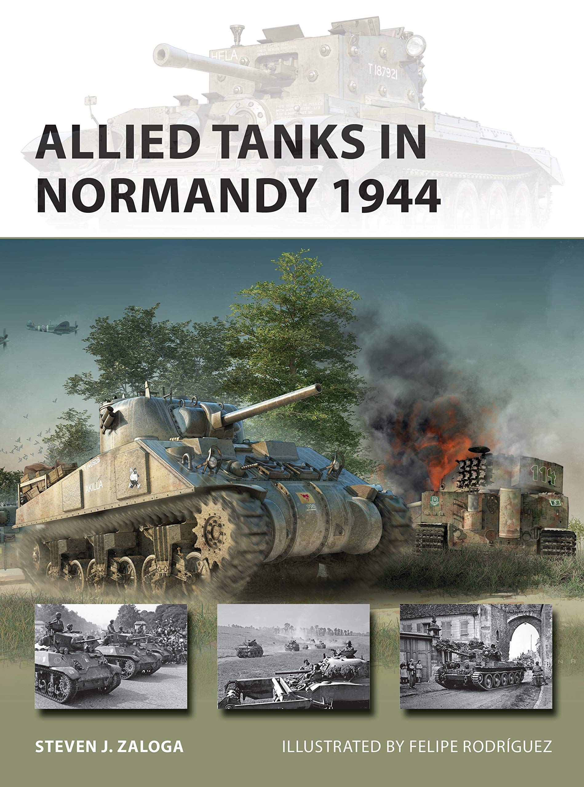 Allied Tanks in Normandy 1944: 294 (New Vanguard)