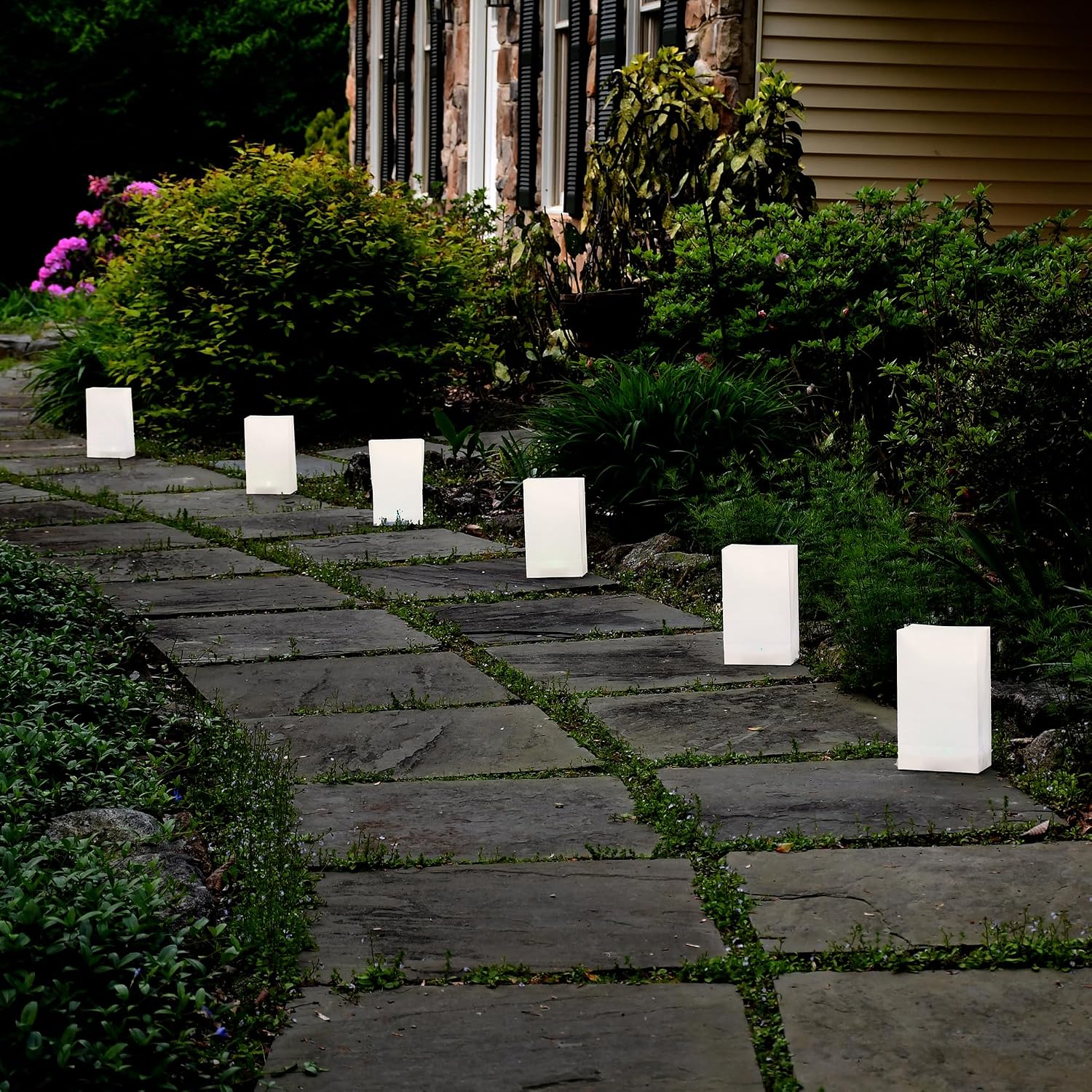LumaBase Battery Operated Luminaria Kit, White - Set of 6