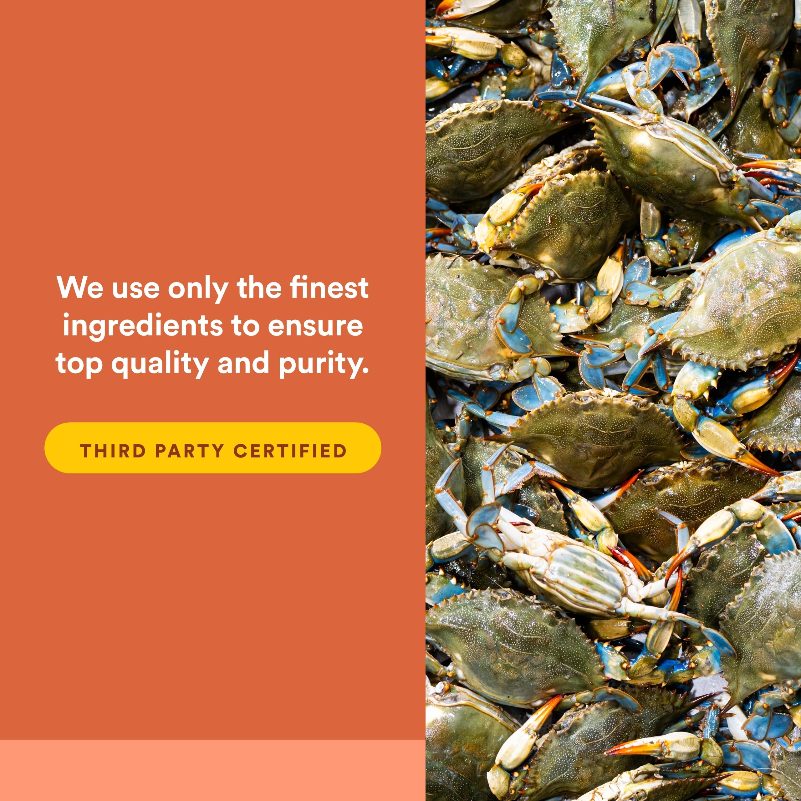 Natural Factors, OsteoMove Joint Care, Extra Strength Support for Joint and Bone Health, Non-GMO, 240 tablets (120 servings)