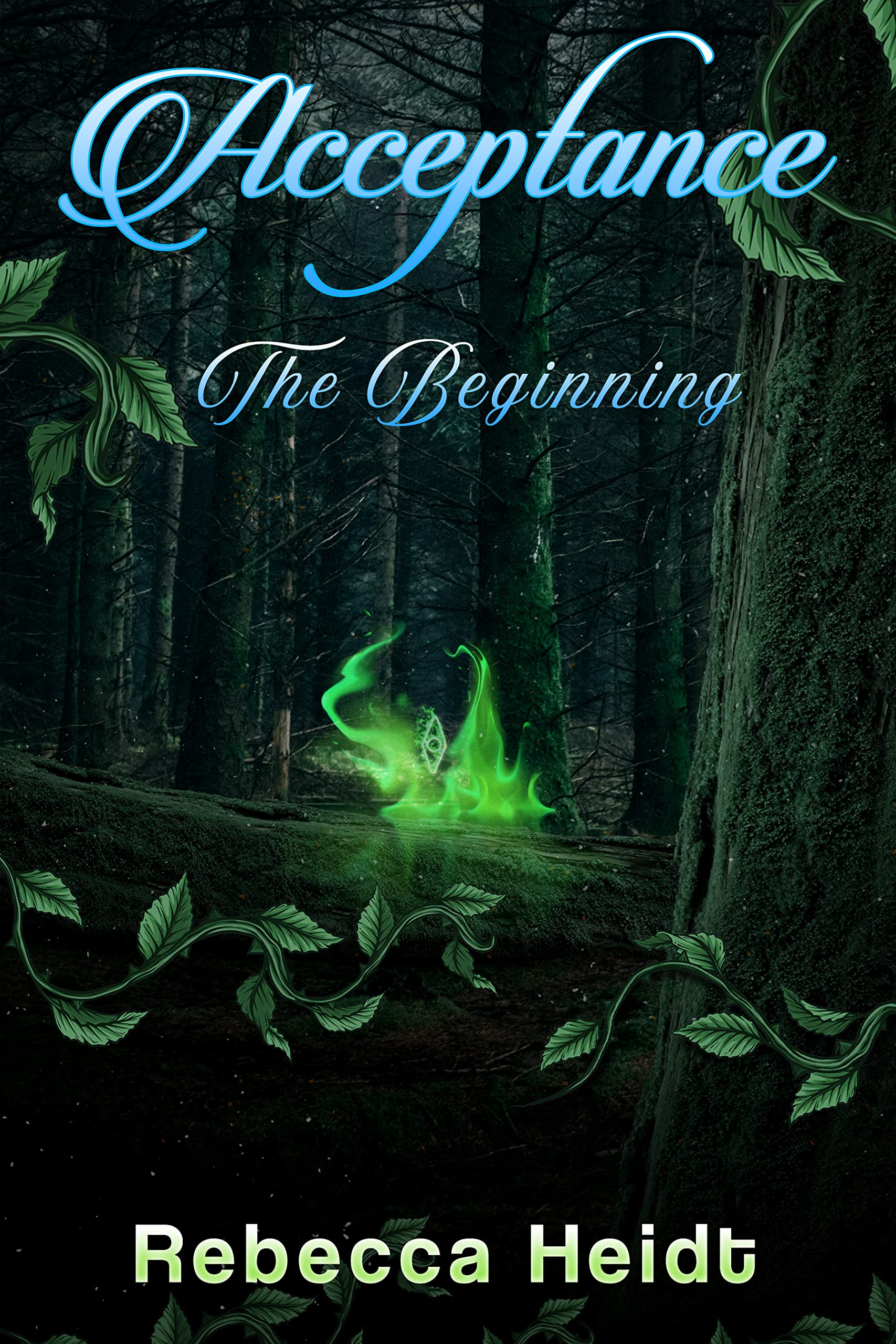Acceptance: The Beginning (Acceptance Series Book 1)