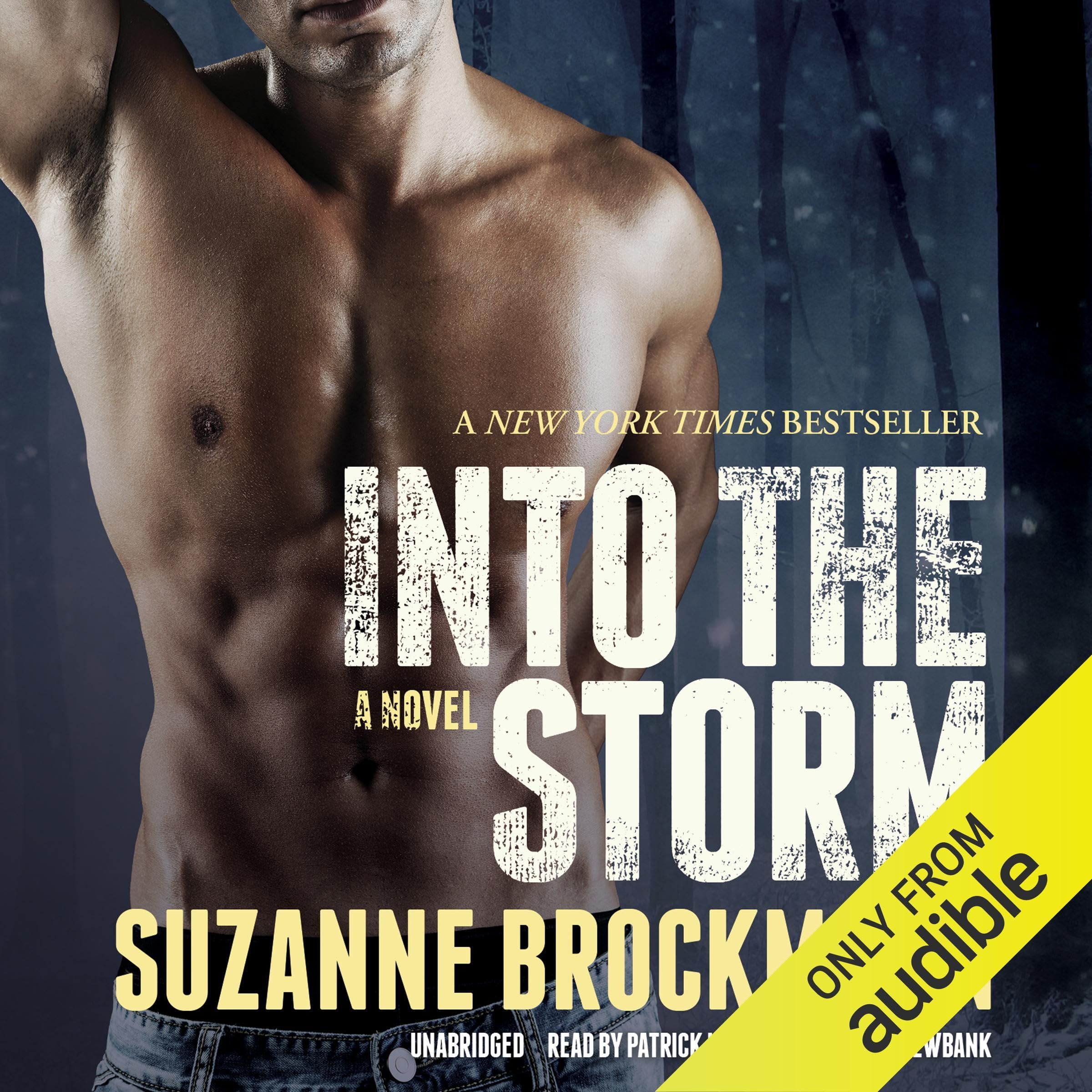 Cover art for Into the Storm: A Novel