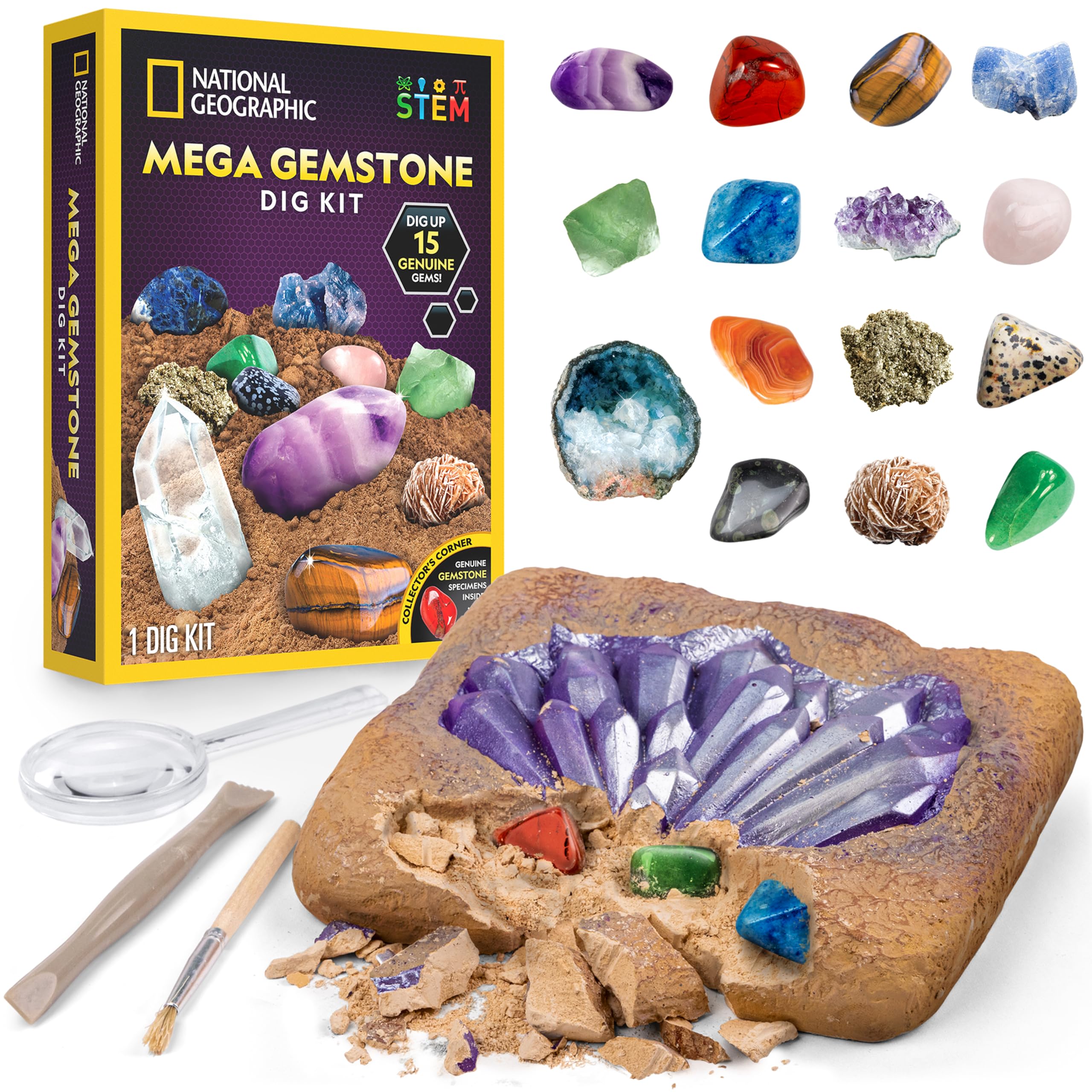 Amazon.ca: National Geographic: Dig Kits